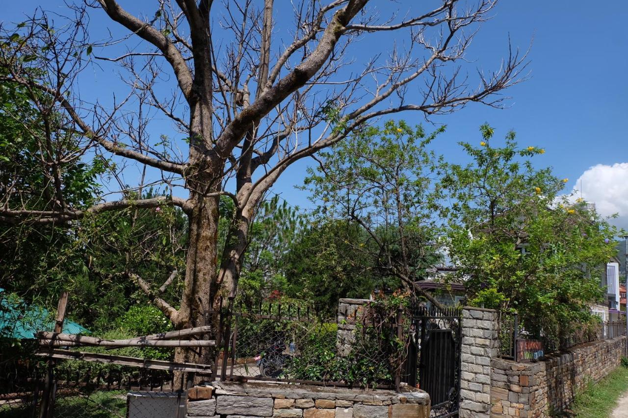 Sambodhi Yoga Resort