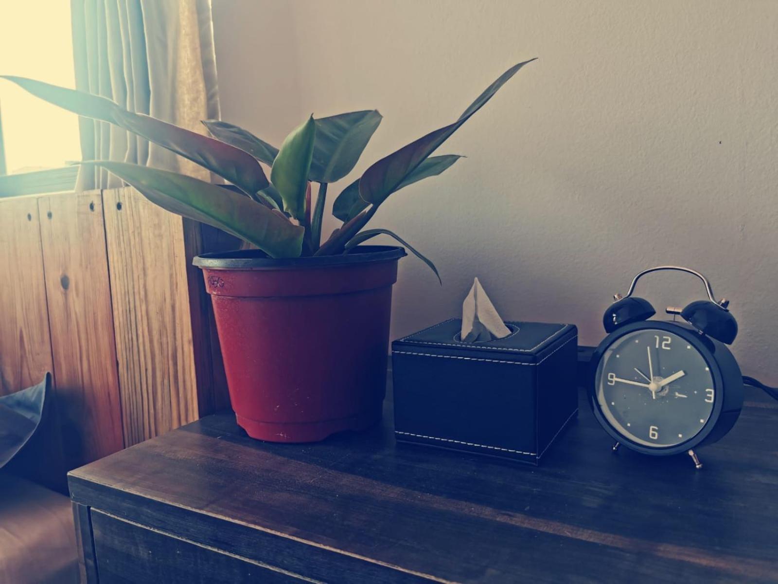 Apartamento Shalu's