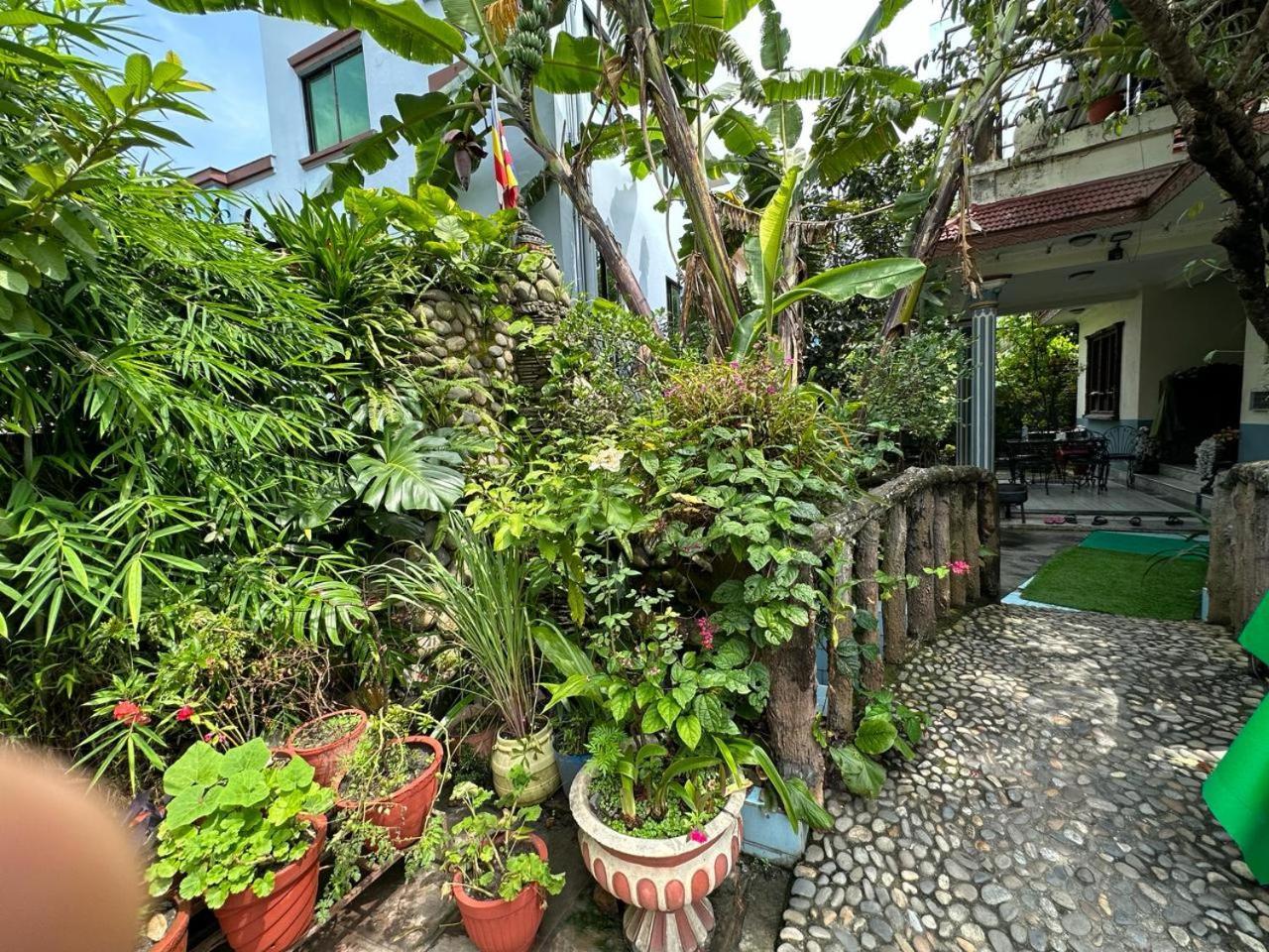 Bed & Breakfast Nepal Kathmandu