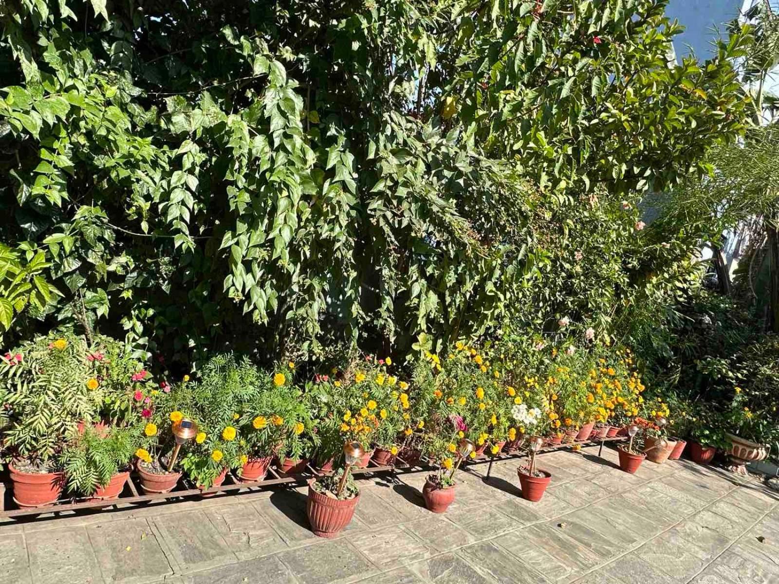 Nepal Bed & Breakfast