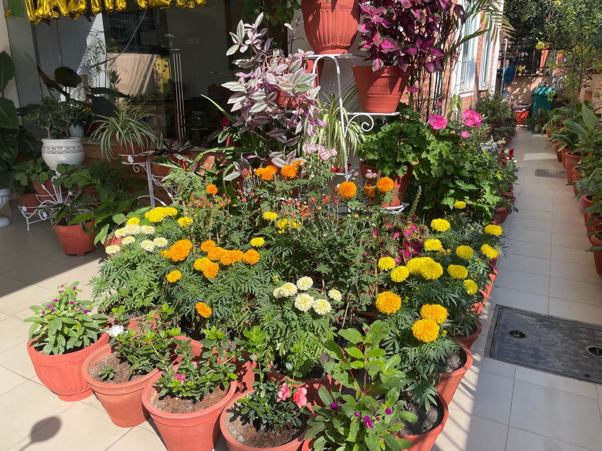 Apartment Palmo
