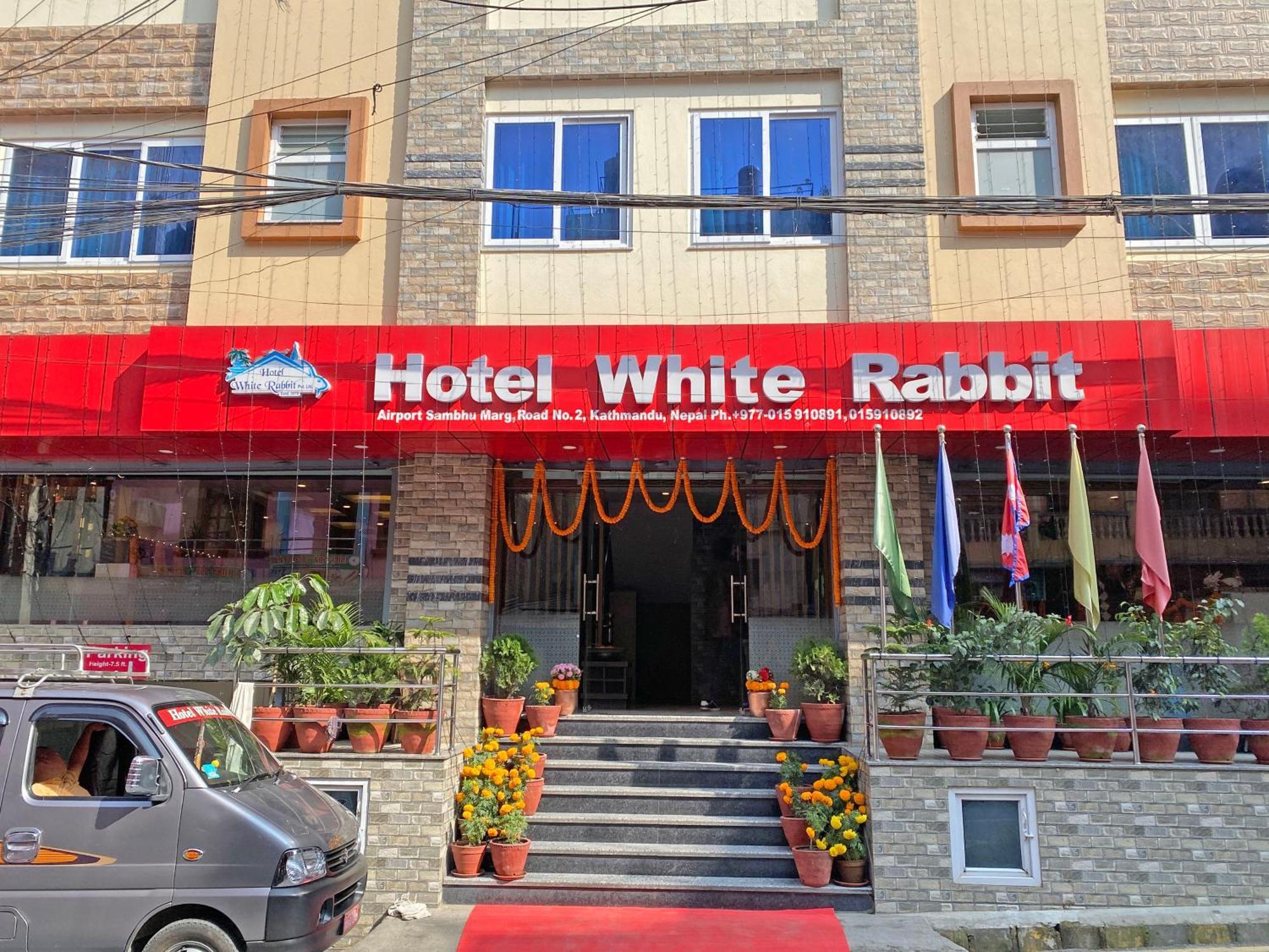 White Rabbit Hotel 3*