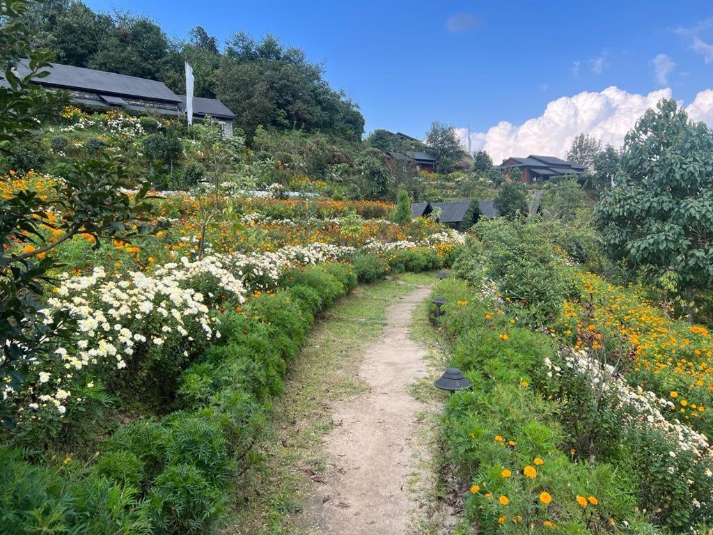 Prakriti And Organic Farm Pvt. Ltd. * Kathmandu