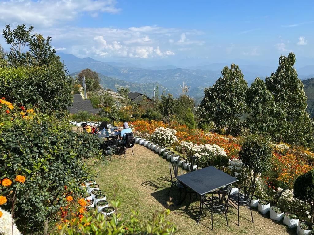 Farm stay Prakriti And Organic Farm Pvt. Ltd.