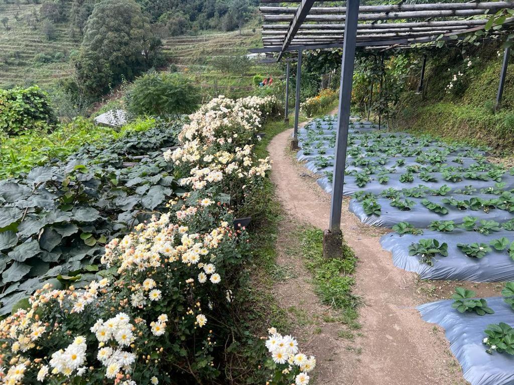 Prakriti And Organic Farm Pvt. Ltd. Farm stay Kathmandu