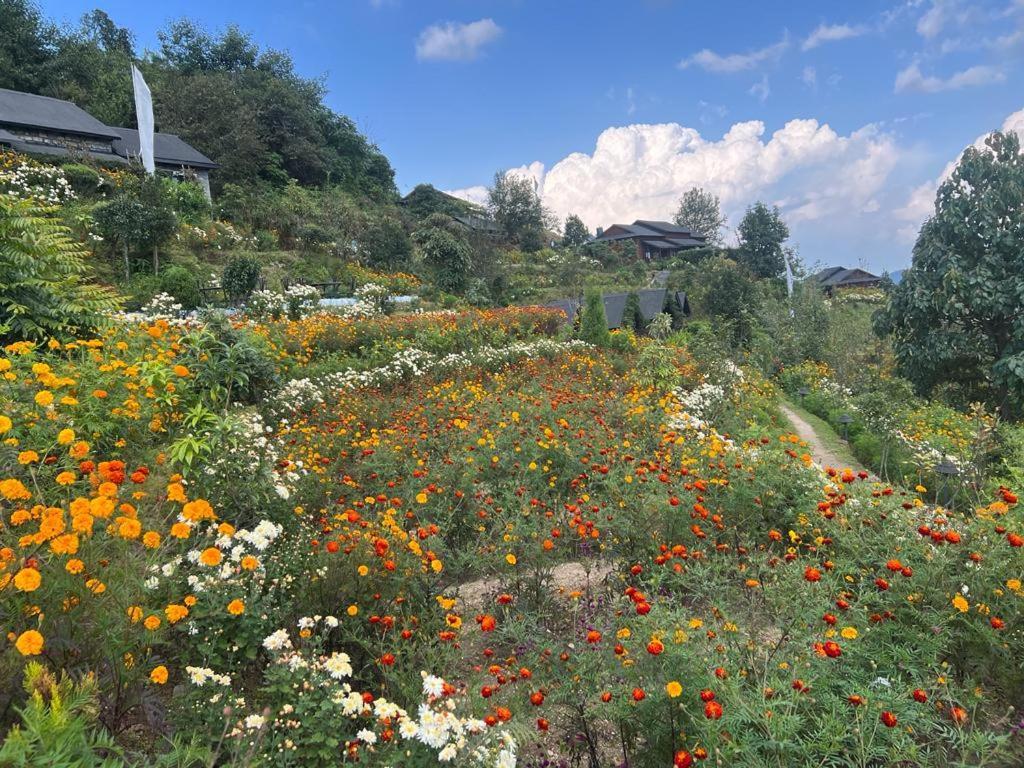 Prakriti And Organic Farm Pvt. Ltd. Kathmandu