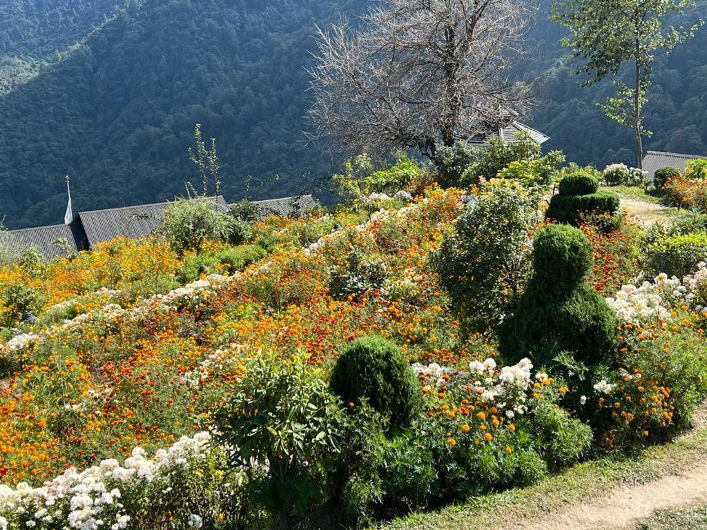 Prakriti And Organic Farm Pvt. Ltd. Farm stay