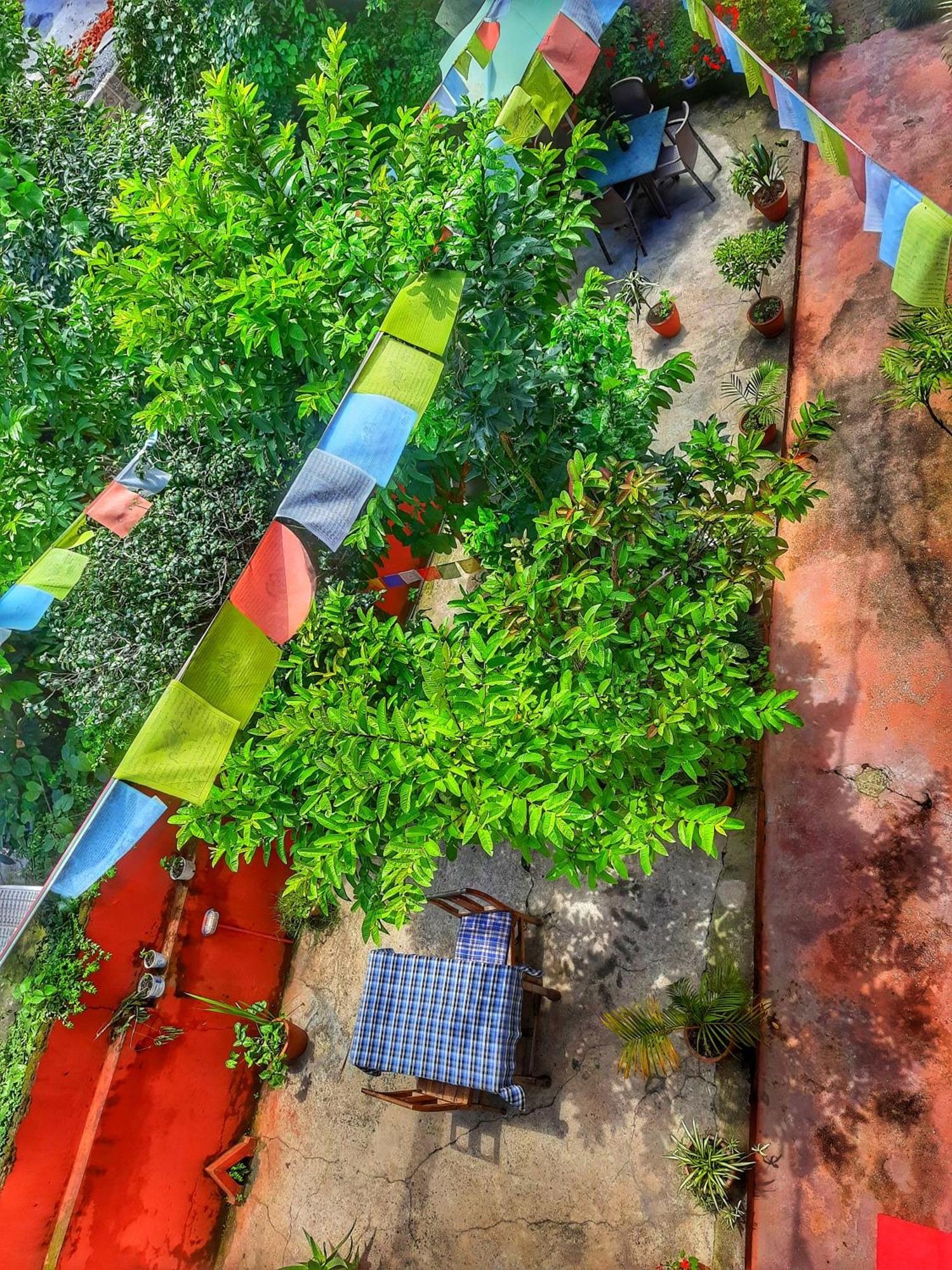 Best Hostel Kathmandu