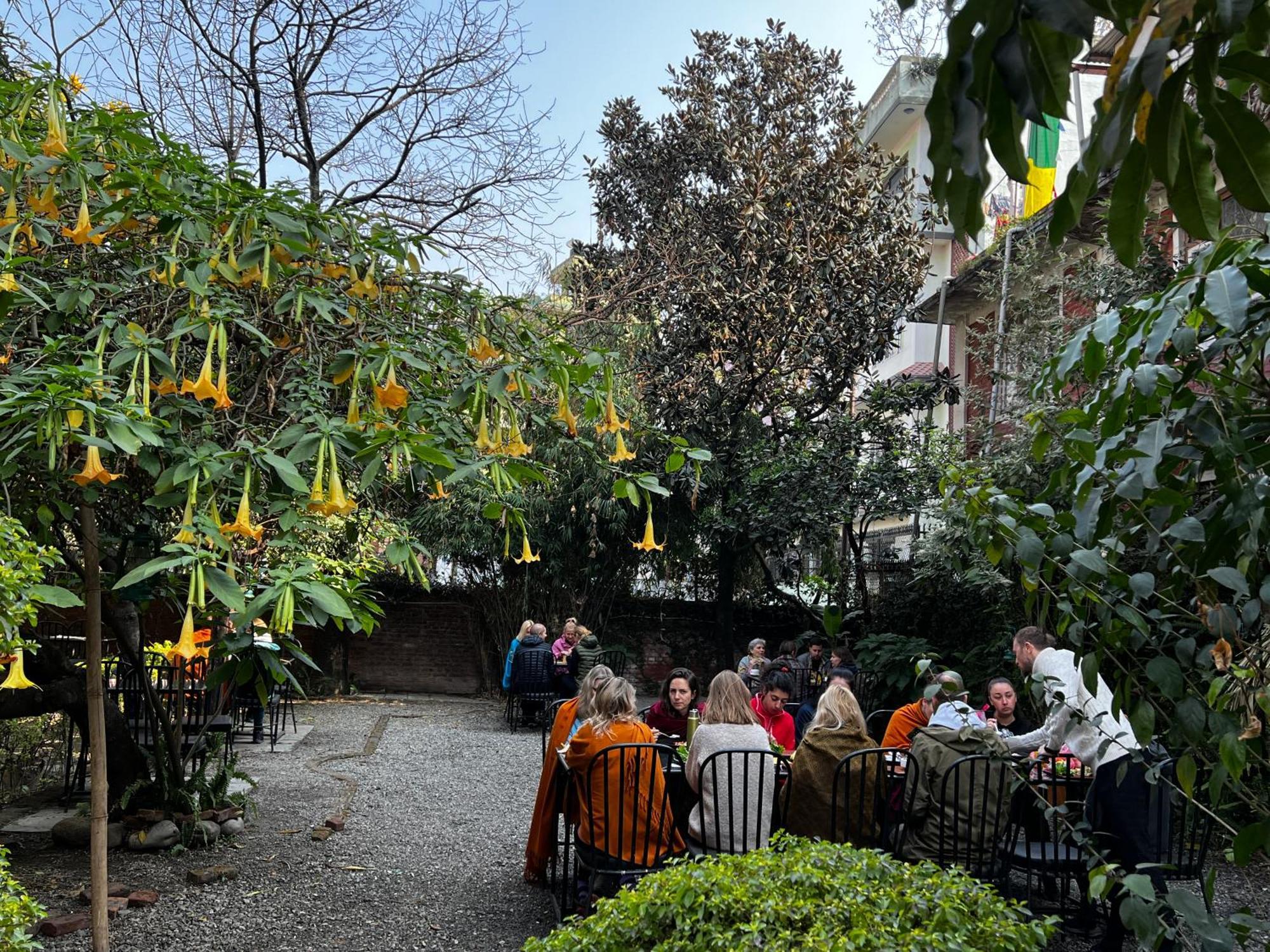 Cloud 9 Garden