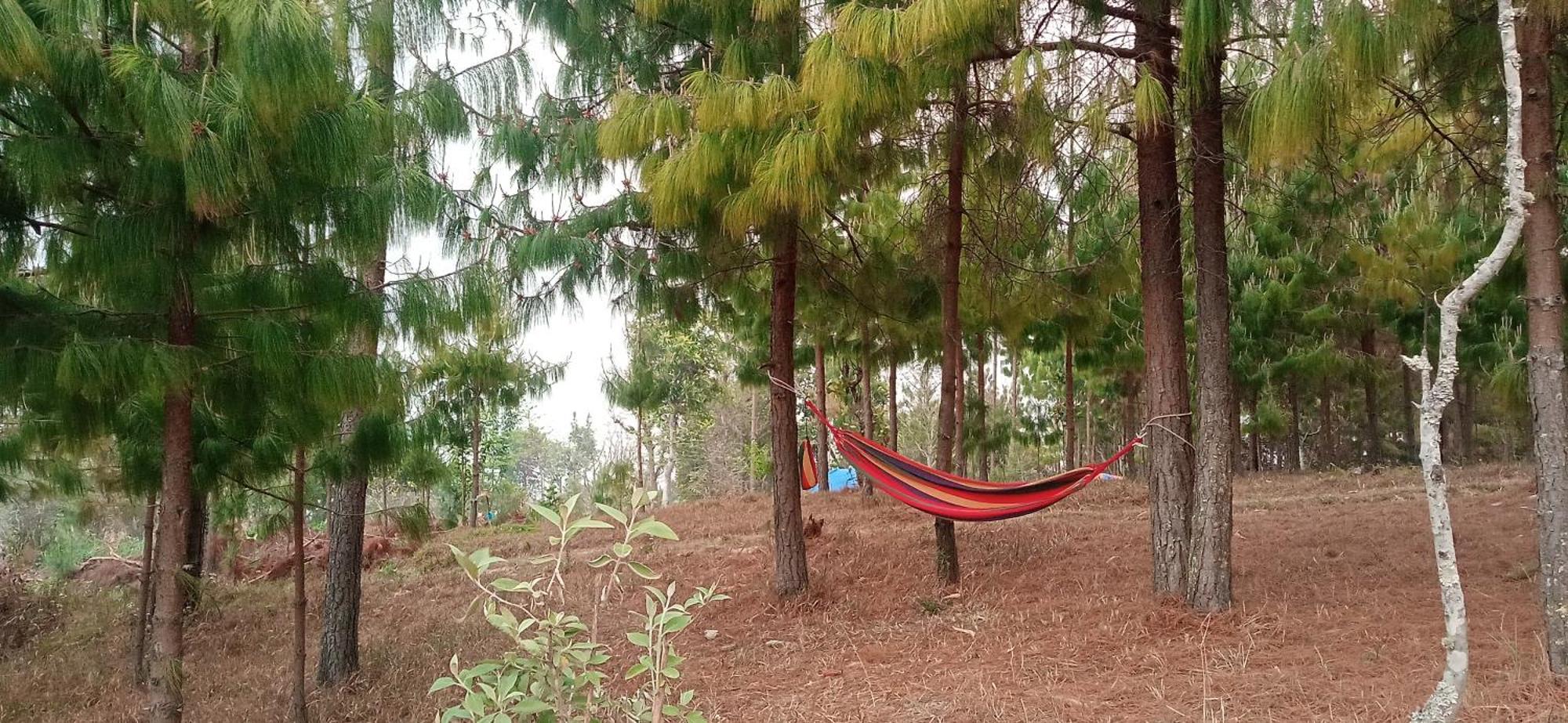 Campsite Everest Home Stay Apartment II Timal Kalimati Tower *