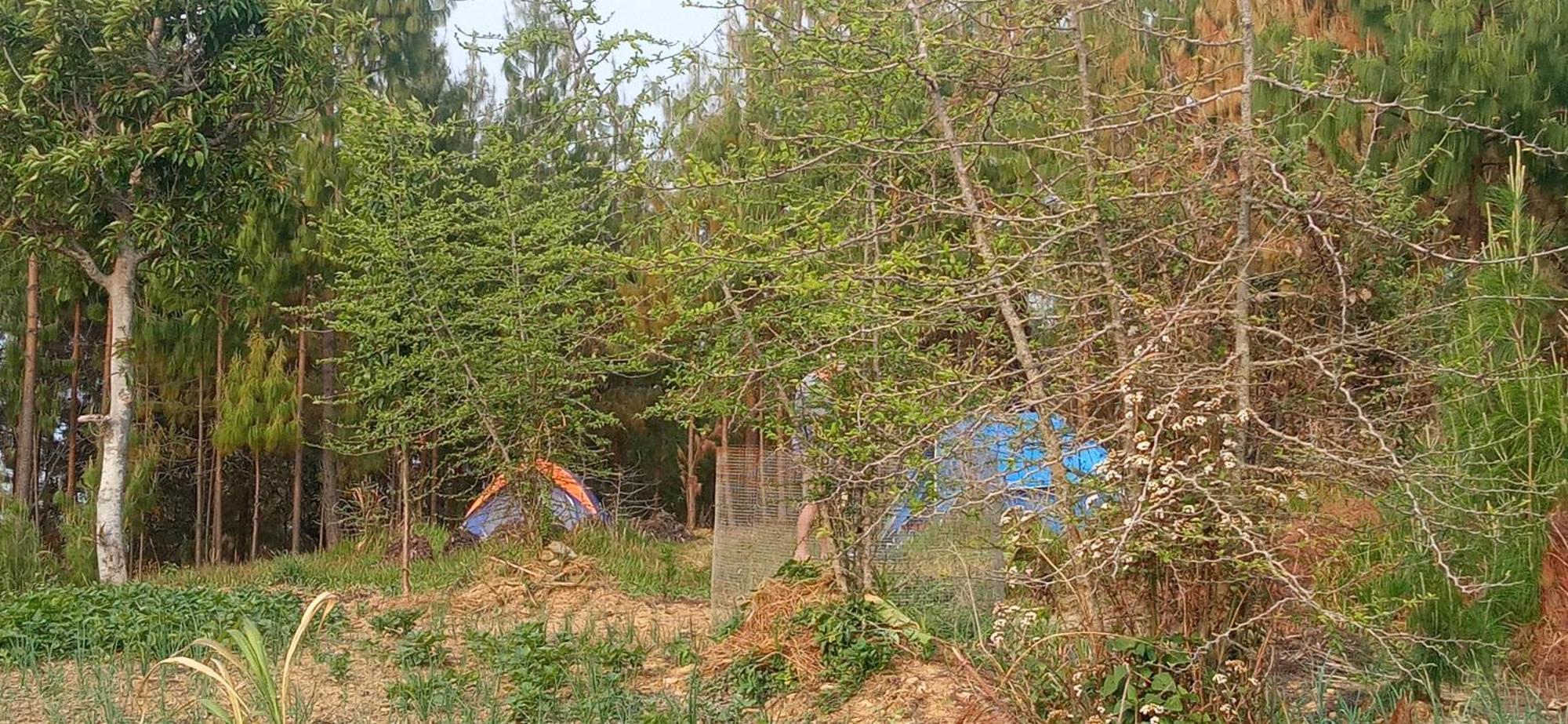 Campsite Everest Home Stay Apartment II Timal Kalimati Tower *