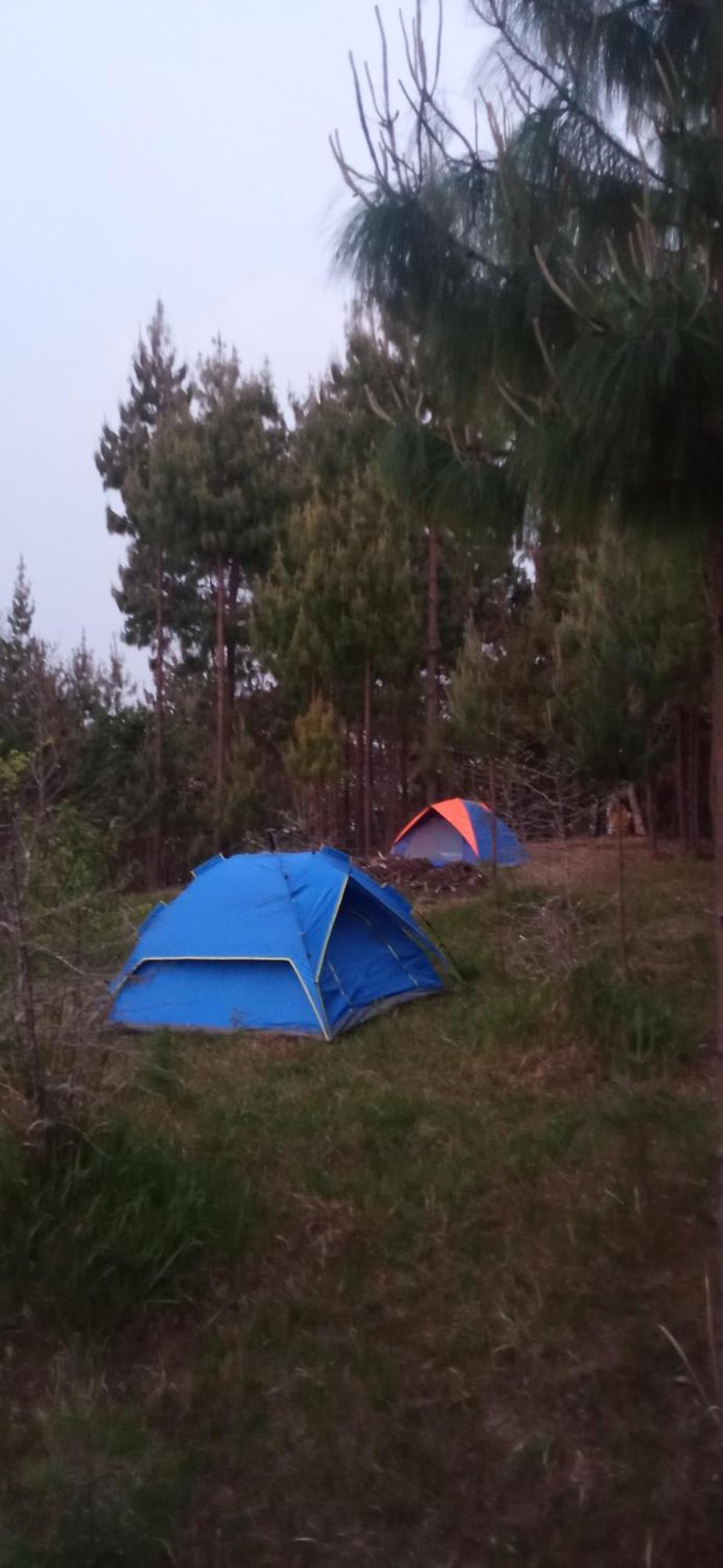 Campsite Everest Home Stay Apartment II Timal Kalimati Tower