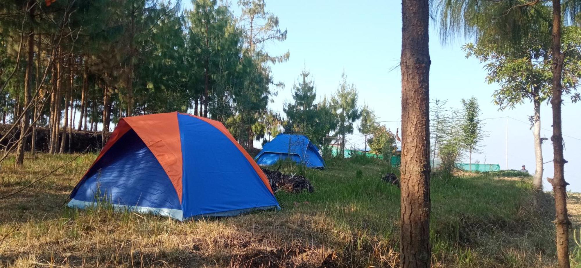 Campsite Everest Home Stay Apartment II Timal Kalimati Tower Kathmandu