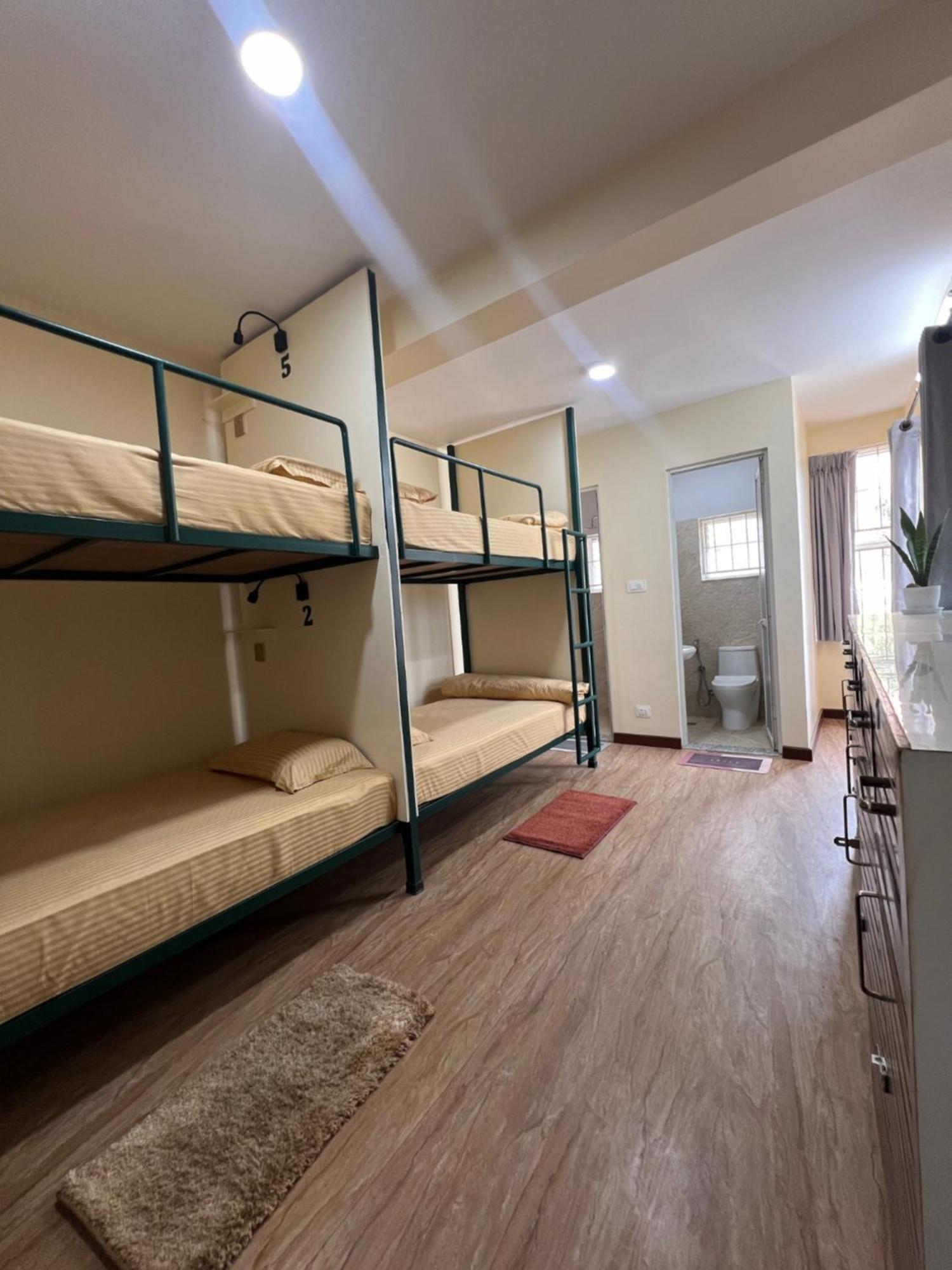 Hostel The Sparkling Turtle Backpackers *