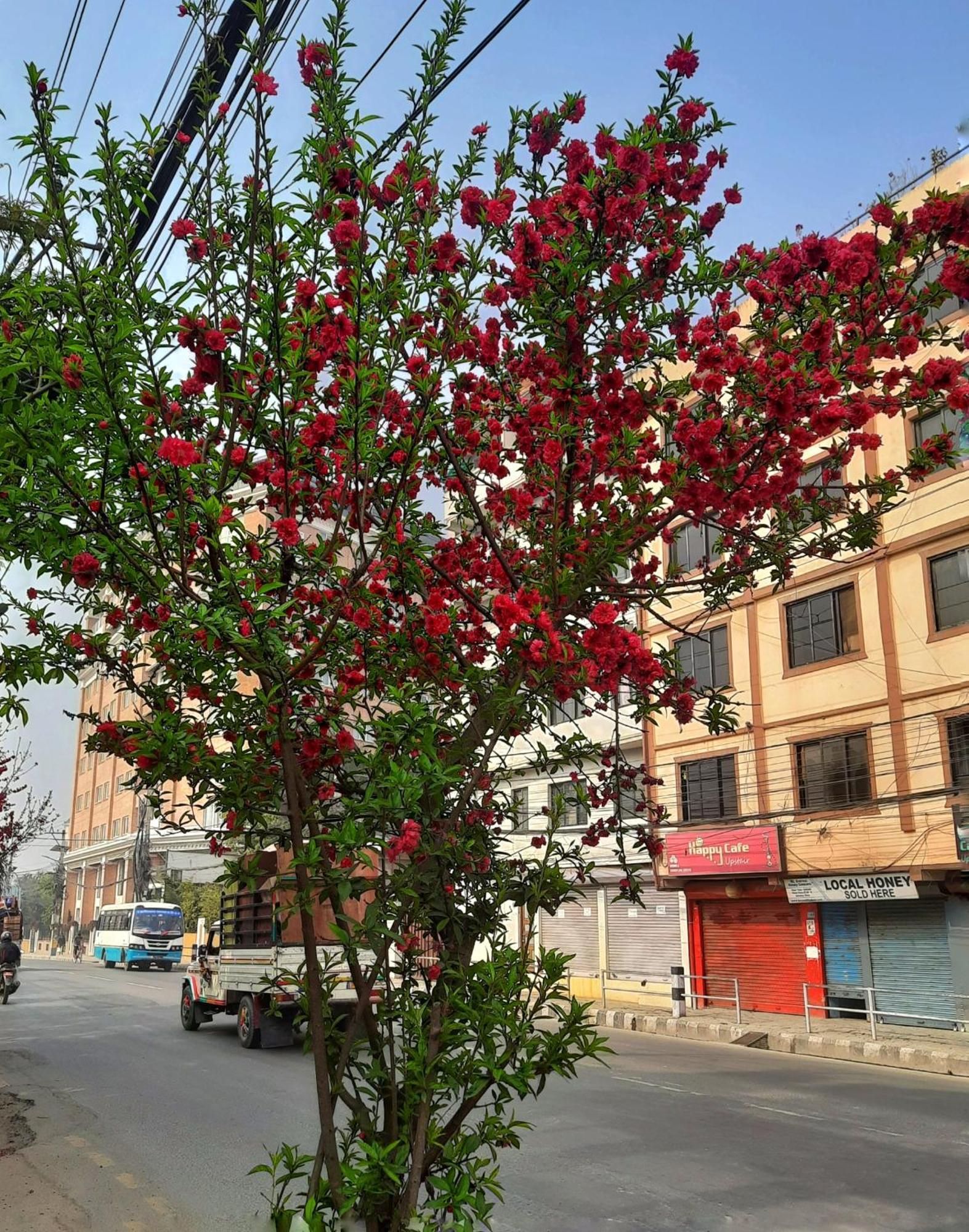 Best Hostel Kathmandu