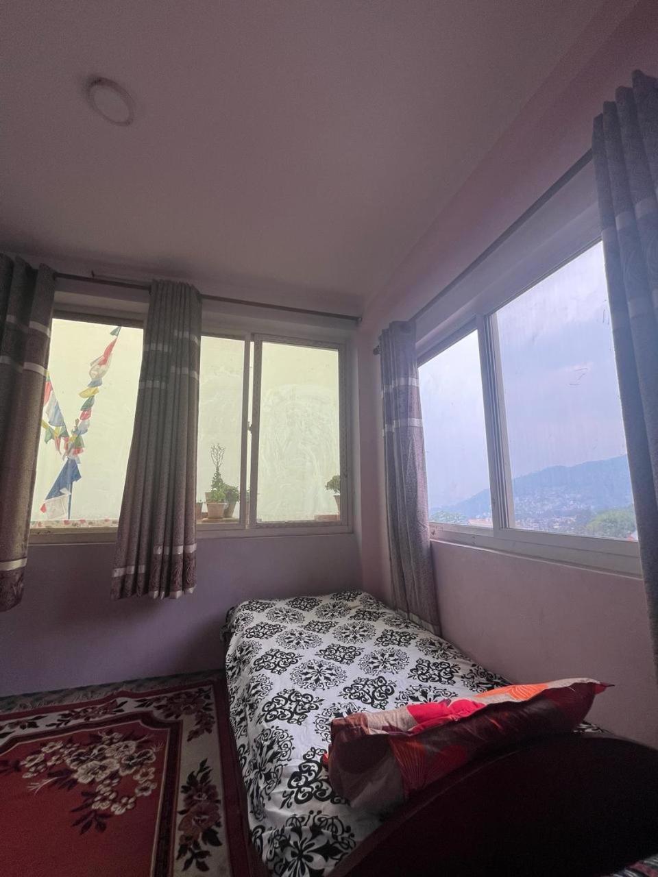 Nature * Kathmandu