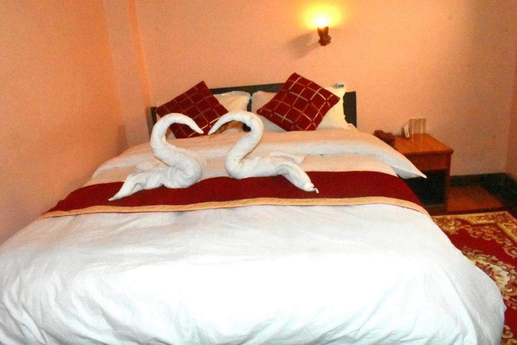 Festoon Hotel 2*