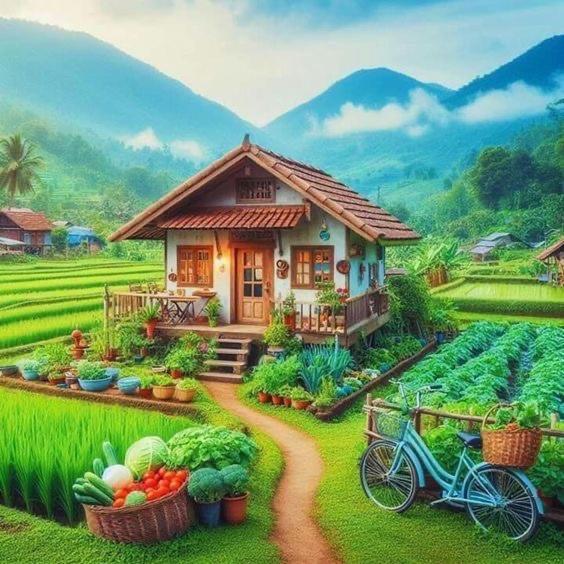 Sarahs Farmhouse * Kathmandu