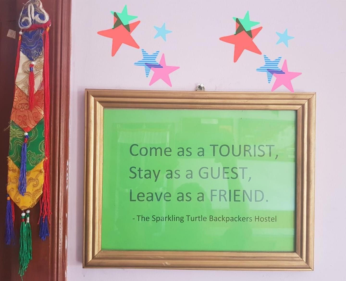 The Sparkling Turtle Backpackers Hostel