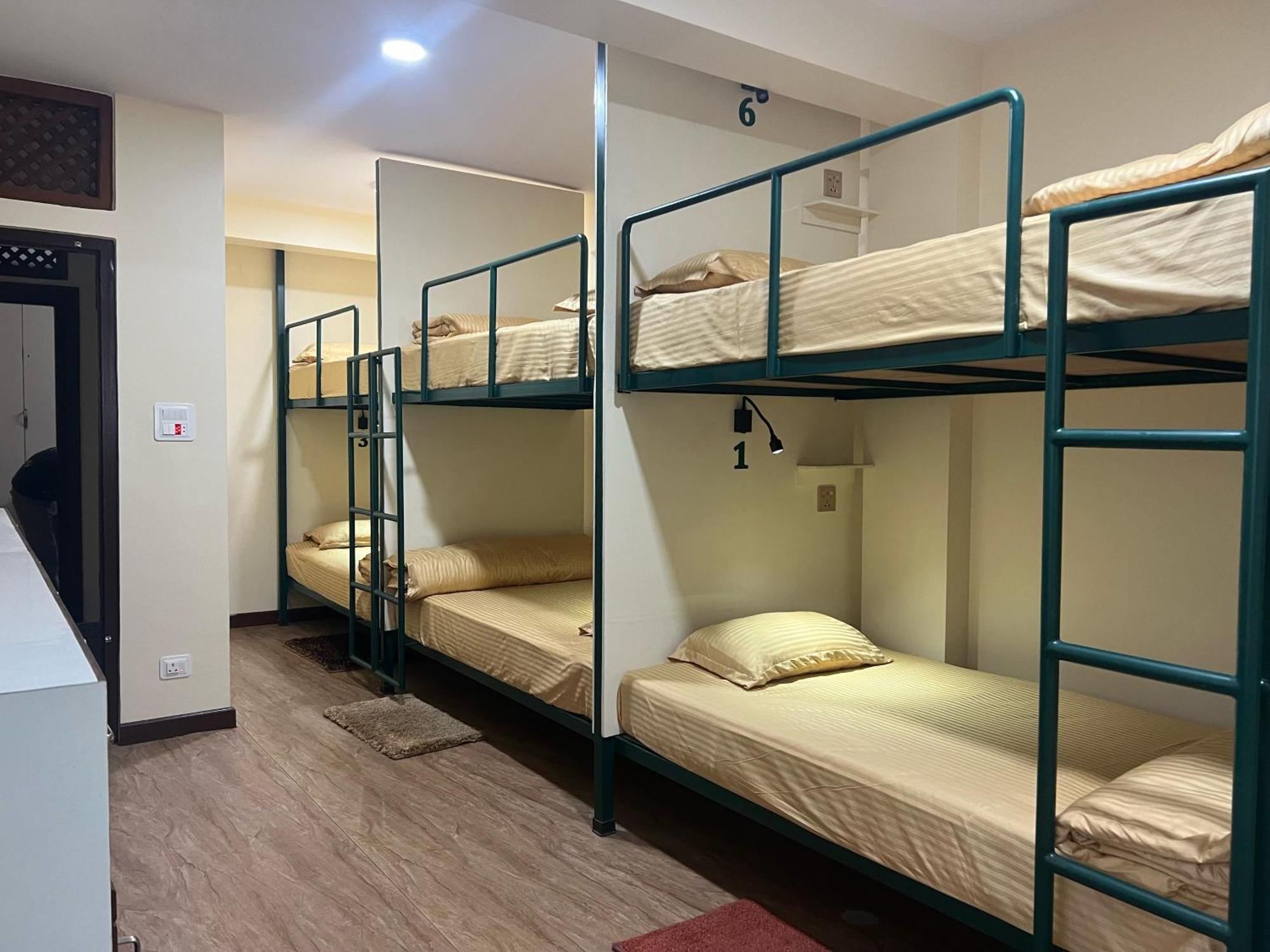 Hostel The Sparkling Turtle Backpackers *