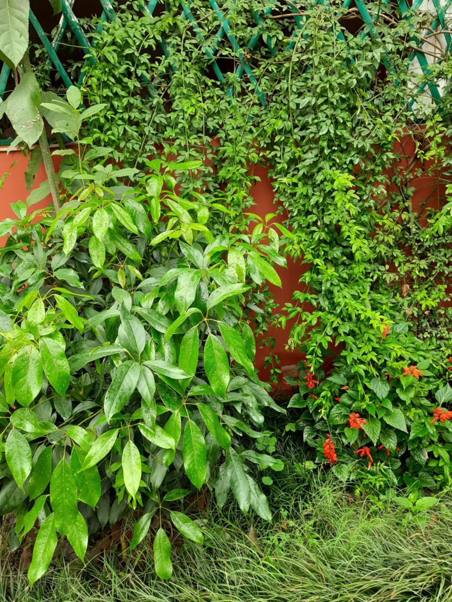 Best Hostel Hostel *