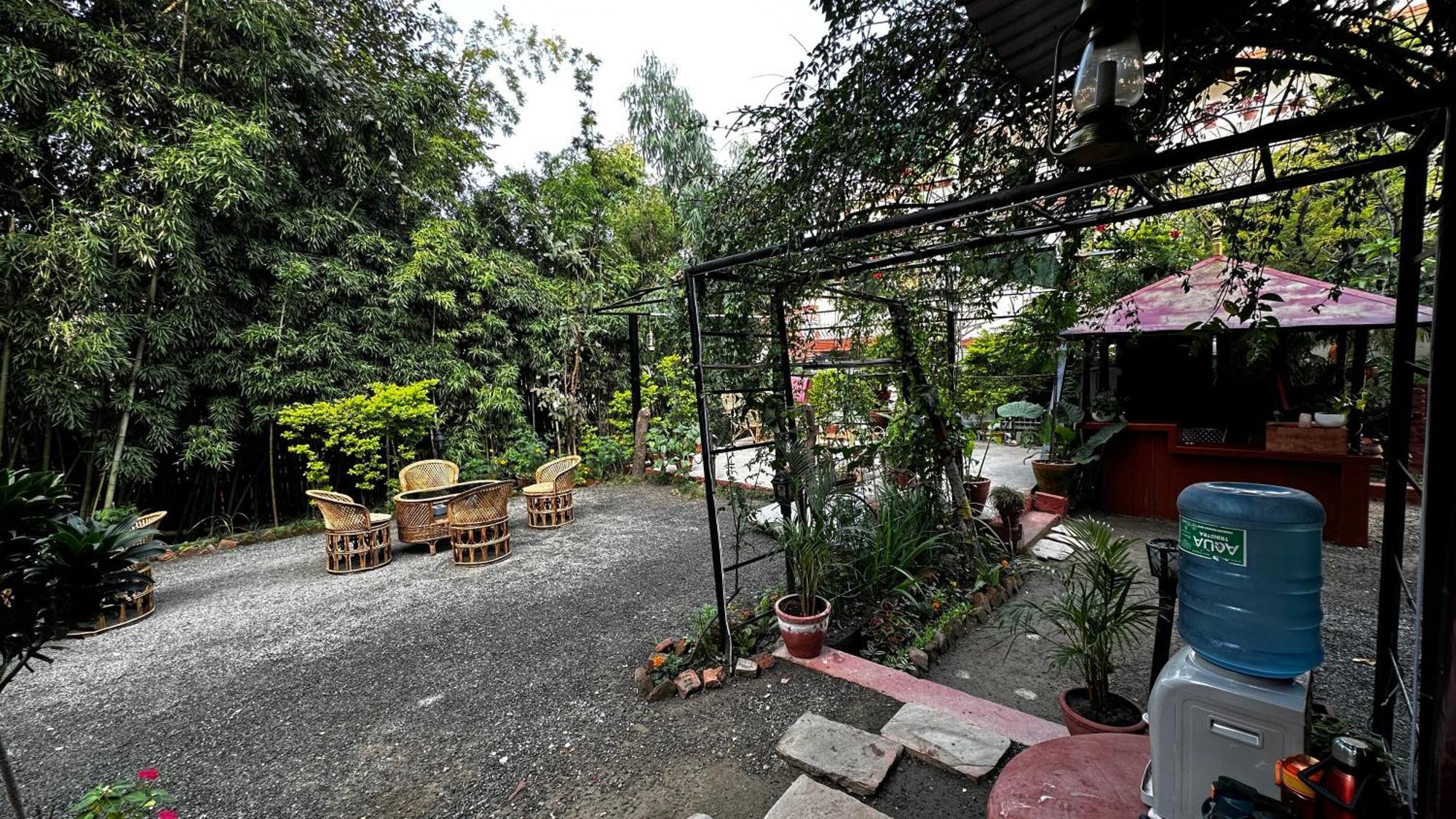 Institute Of Natural Medicine , Yoga & Therapy * Kathmandu