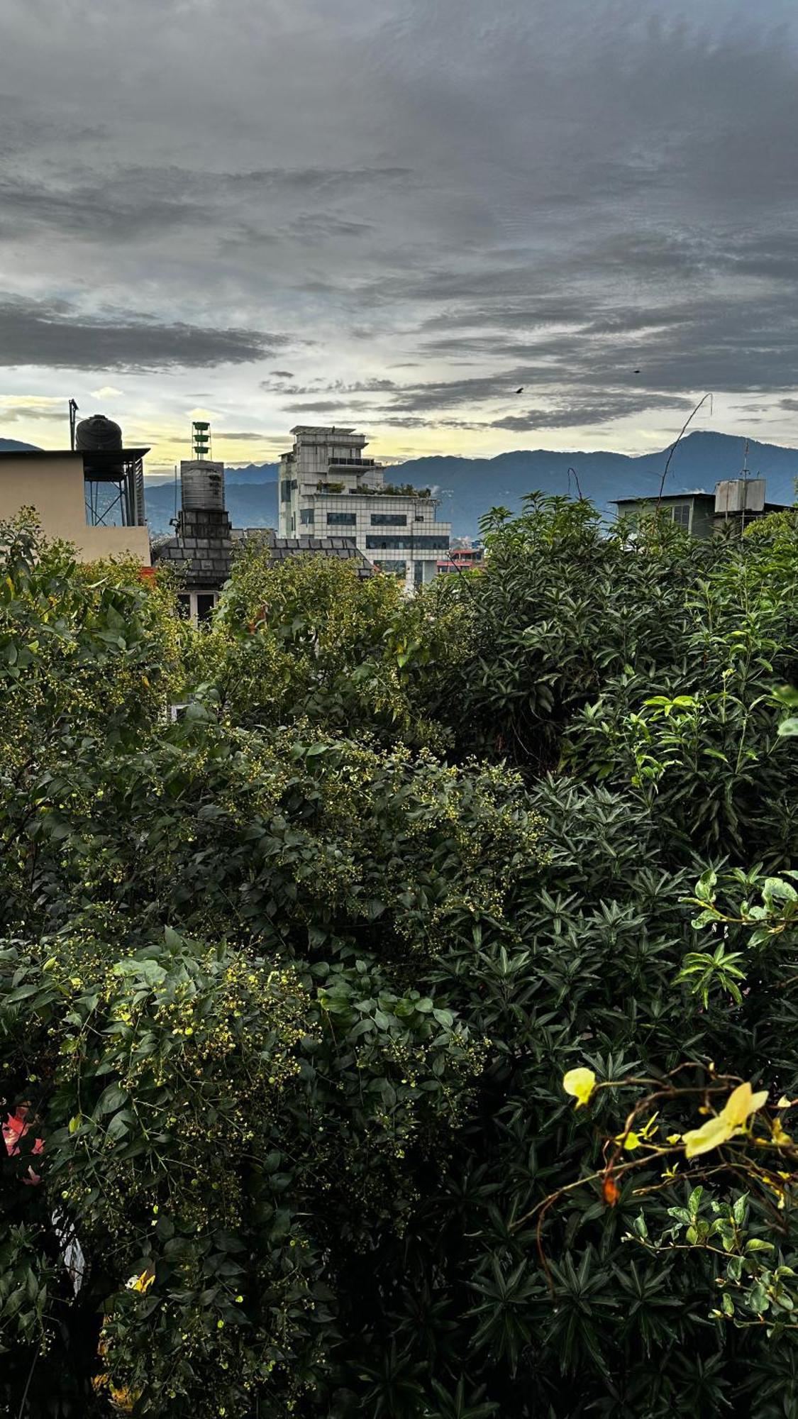 Institute Of Natural Medicine , Yoga & Therapy Bed & Breakfast