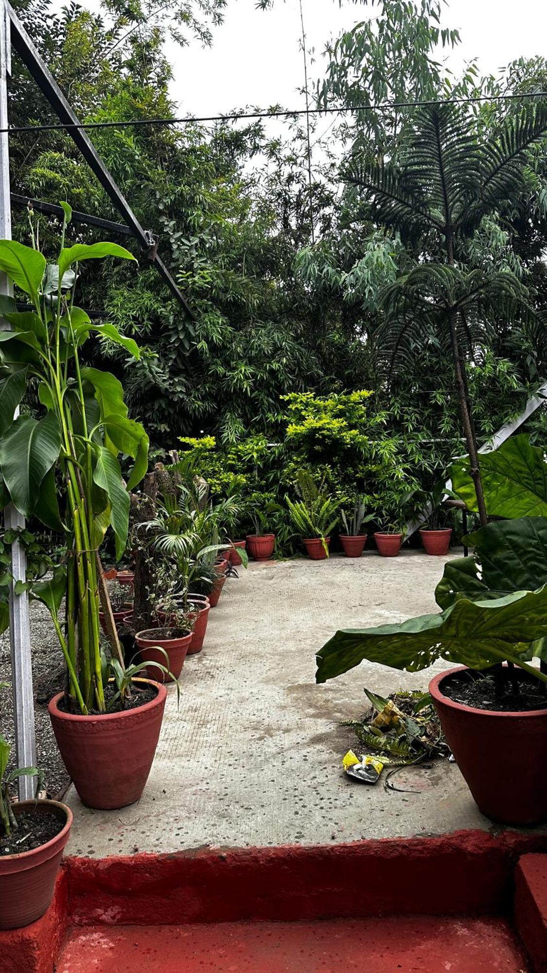 Institute Of Natural Medicine , Yoga & Therapy Bed & Breakfast Kathmandu