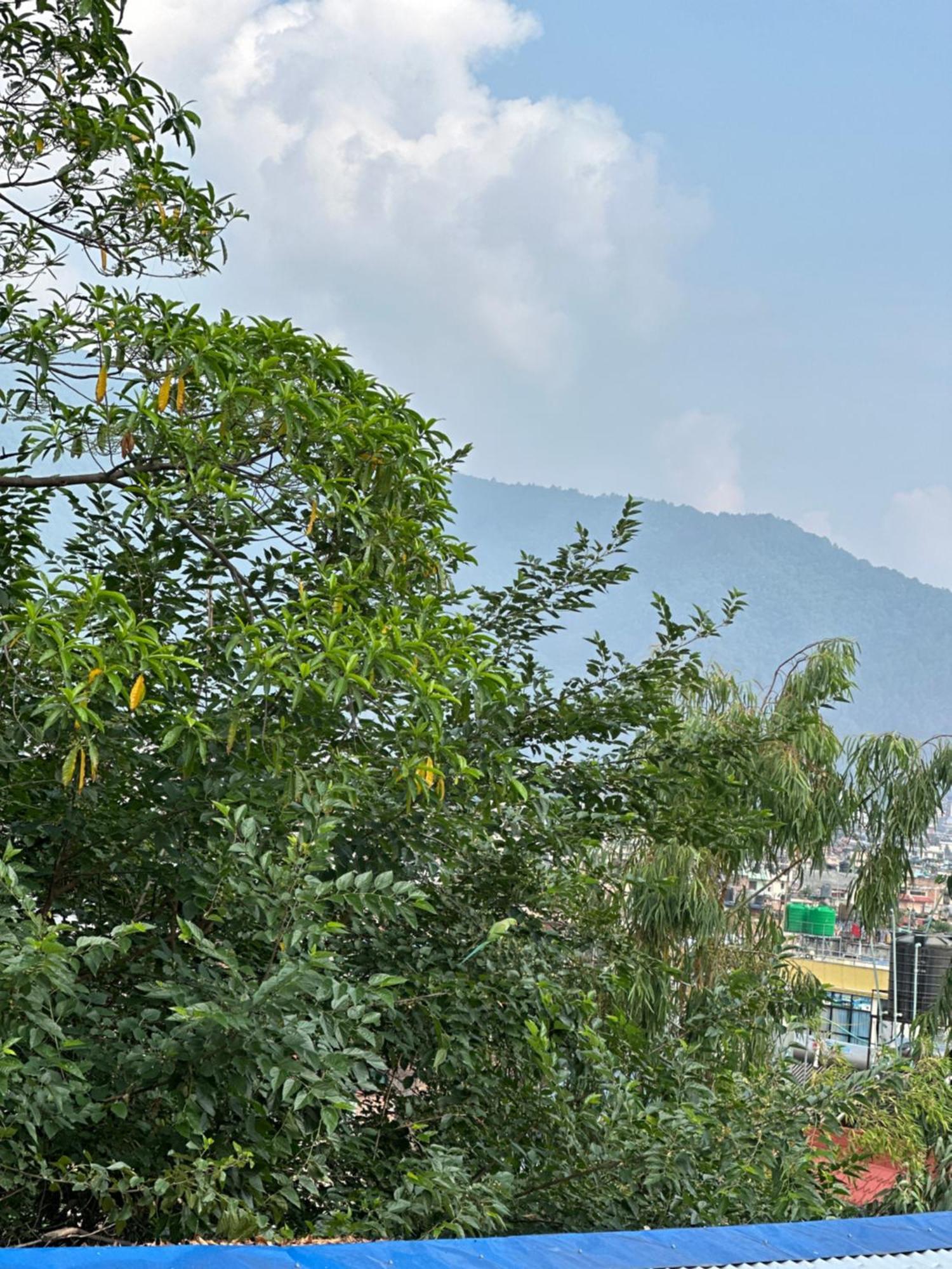 Bed & Breakfast Institute Of Natural Medicine , Yoga & Therapy Kathmandu