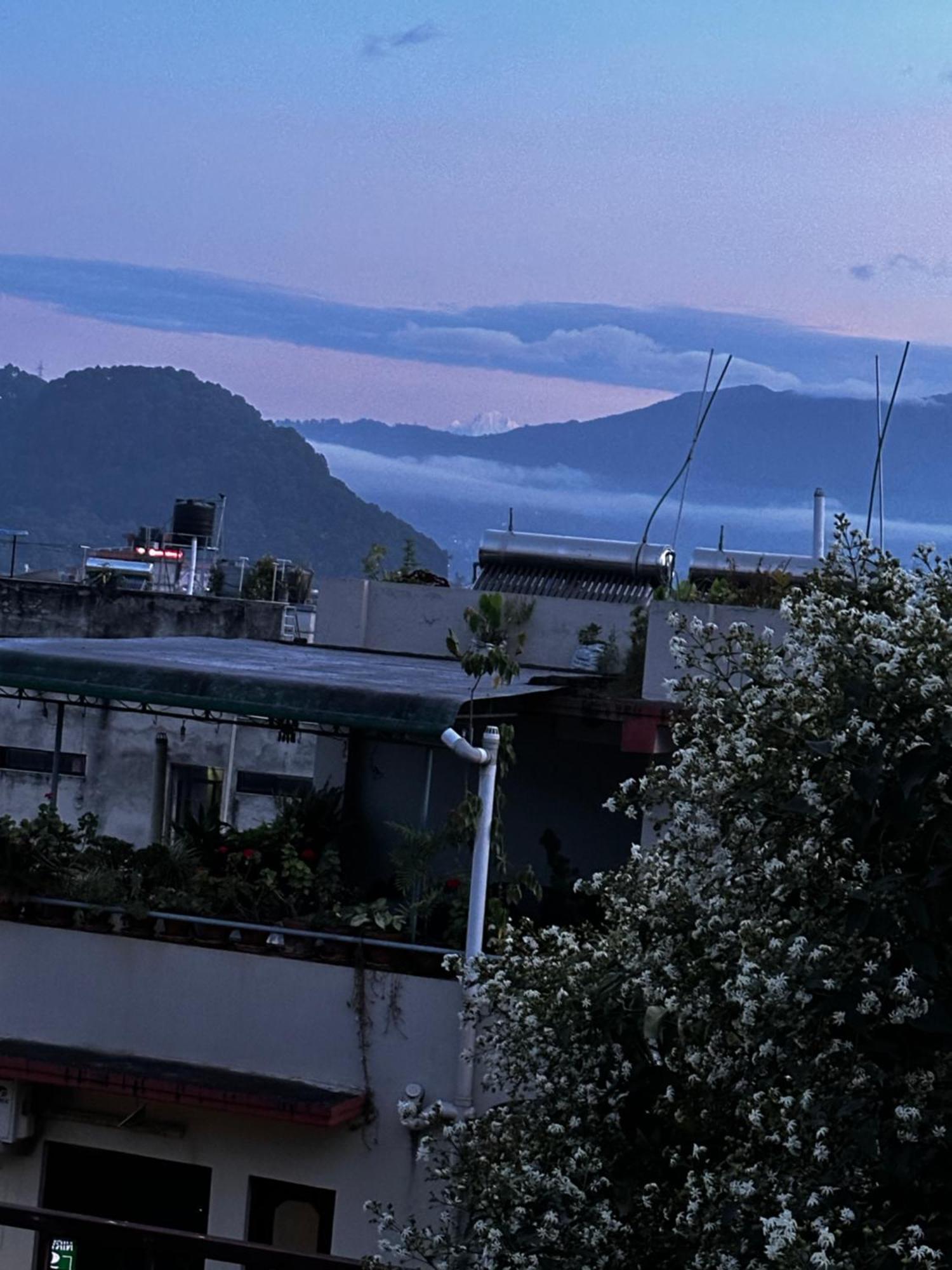 Bed & Breakfast Institute Of Natural Medicine , Yoga & Therapy
