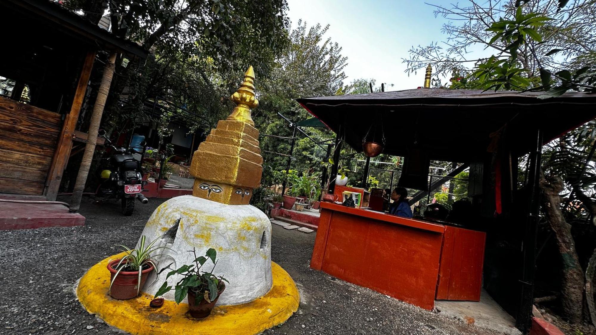 Institute Of Natural Medicine , Yoga & Therapy