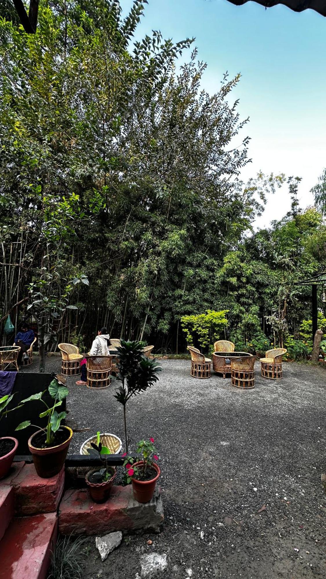 Institute Of Natural Medicine , Yoga & Therapy *