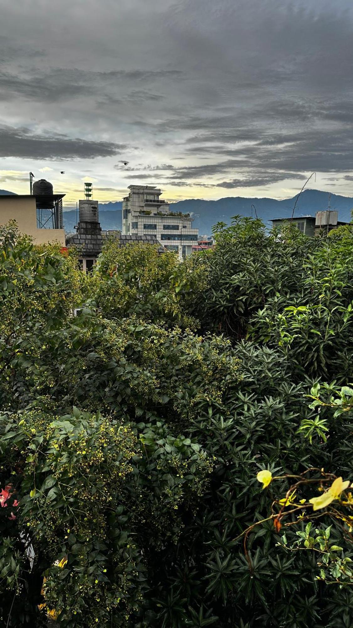 Institute Of Natural Medicine , Yoga & Therapy Bed & Breakfast *