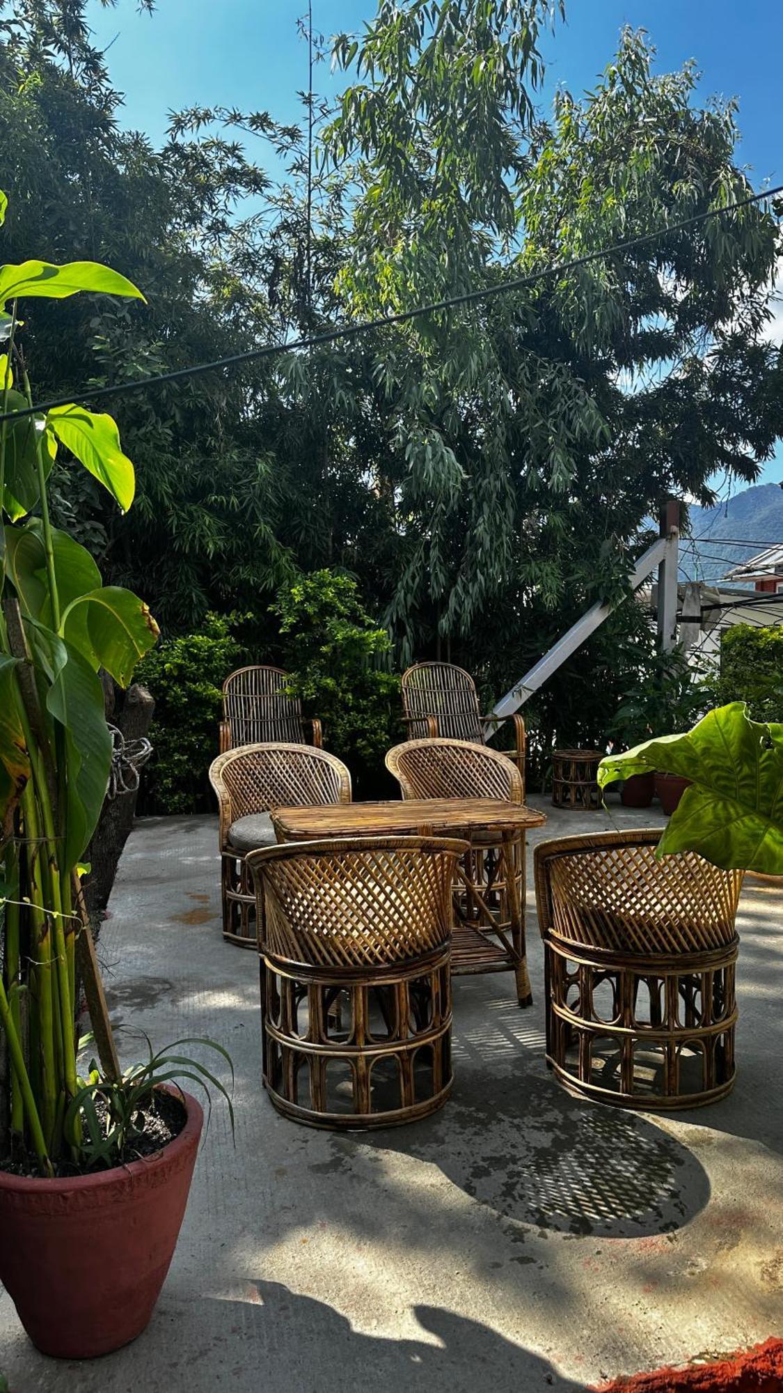 Institute Of Natural Medicine , Yoga & Therapy