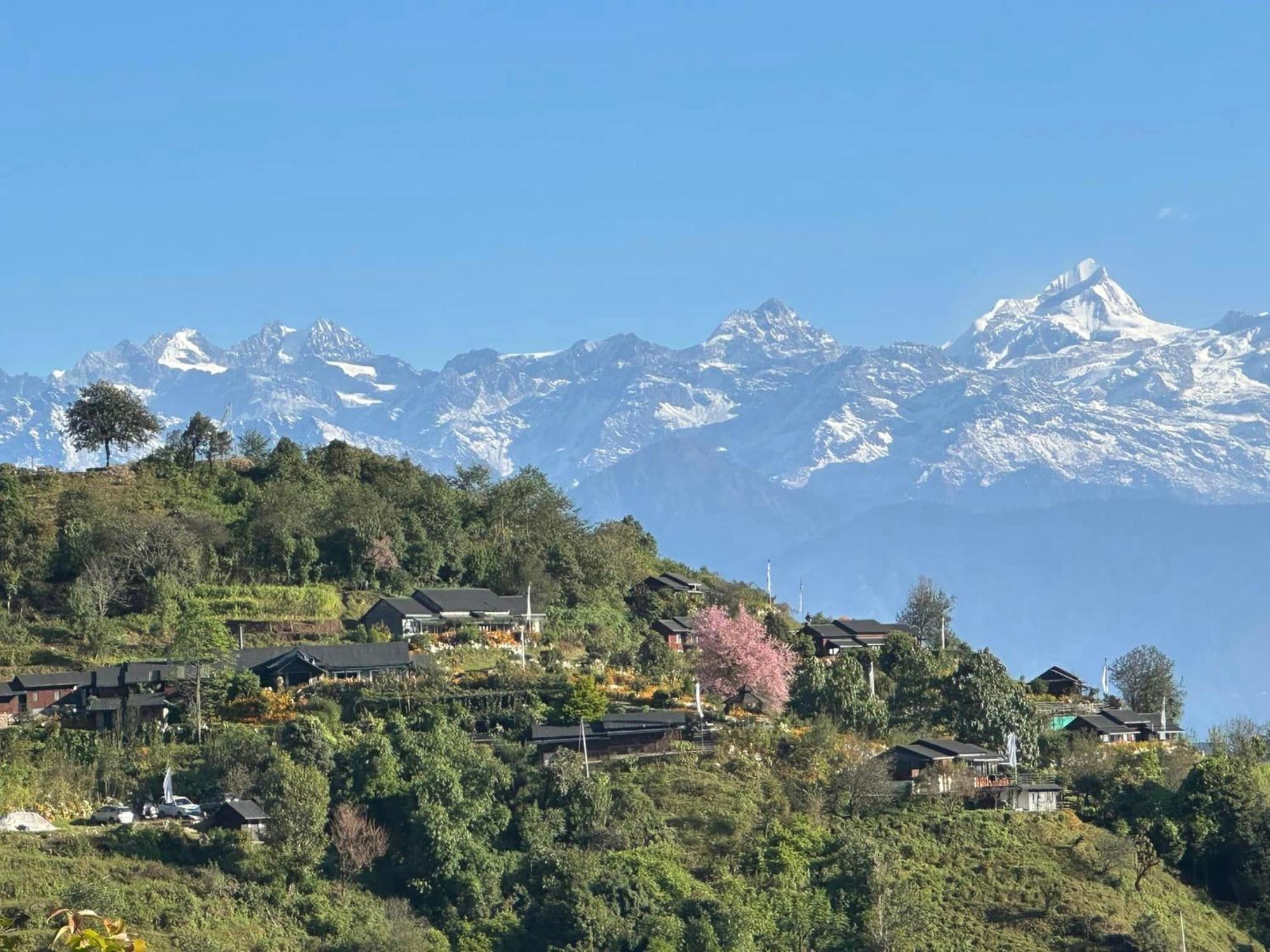 Prakriti And Organic Farm Pvt. Ltd. * Kathmandu