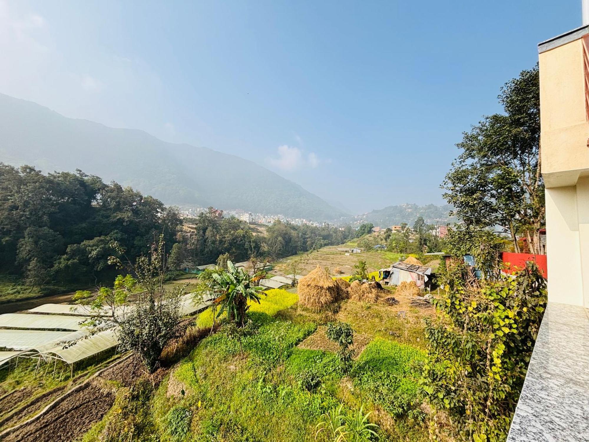 Homestay Niro