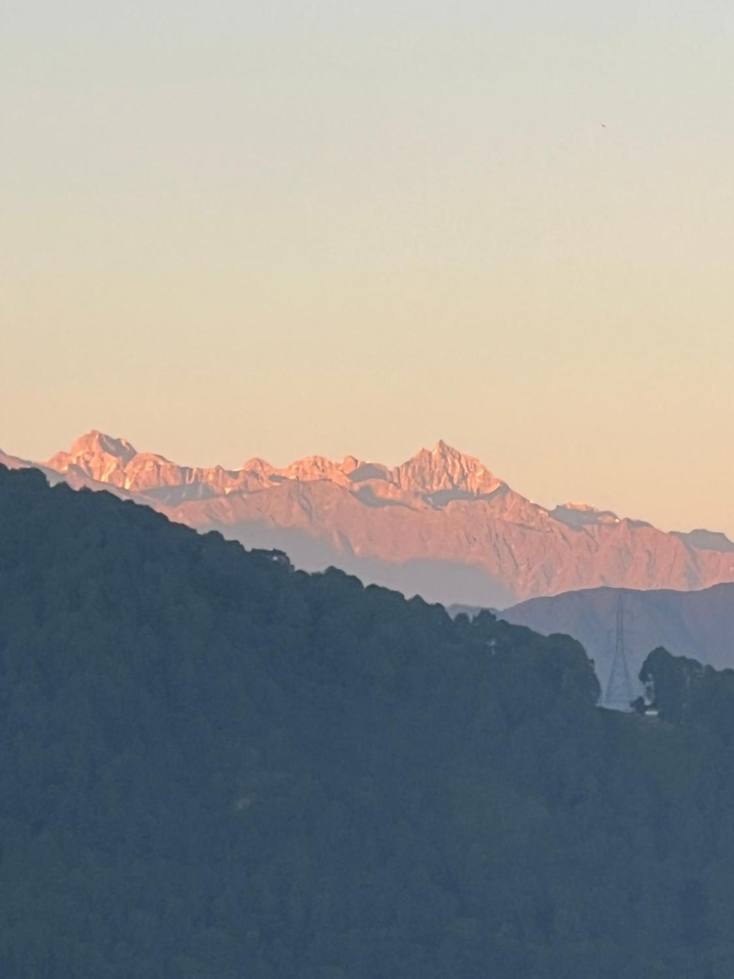 The Sparkling Turtle Backpackers Hostel Kathmandu