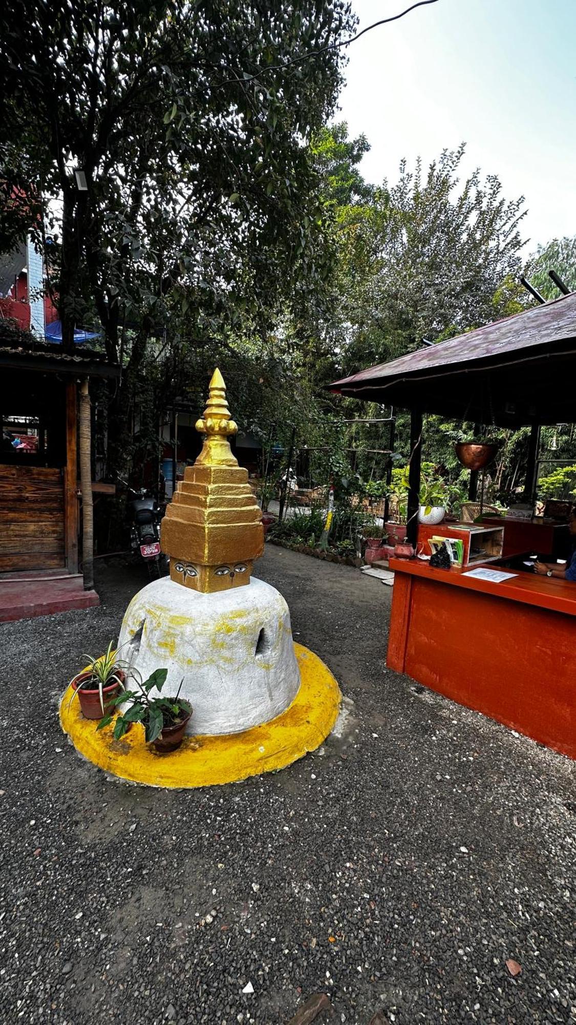 Institute Of Natural Medicine , Yoga & Therapy Bed & Breakfast