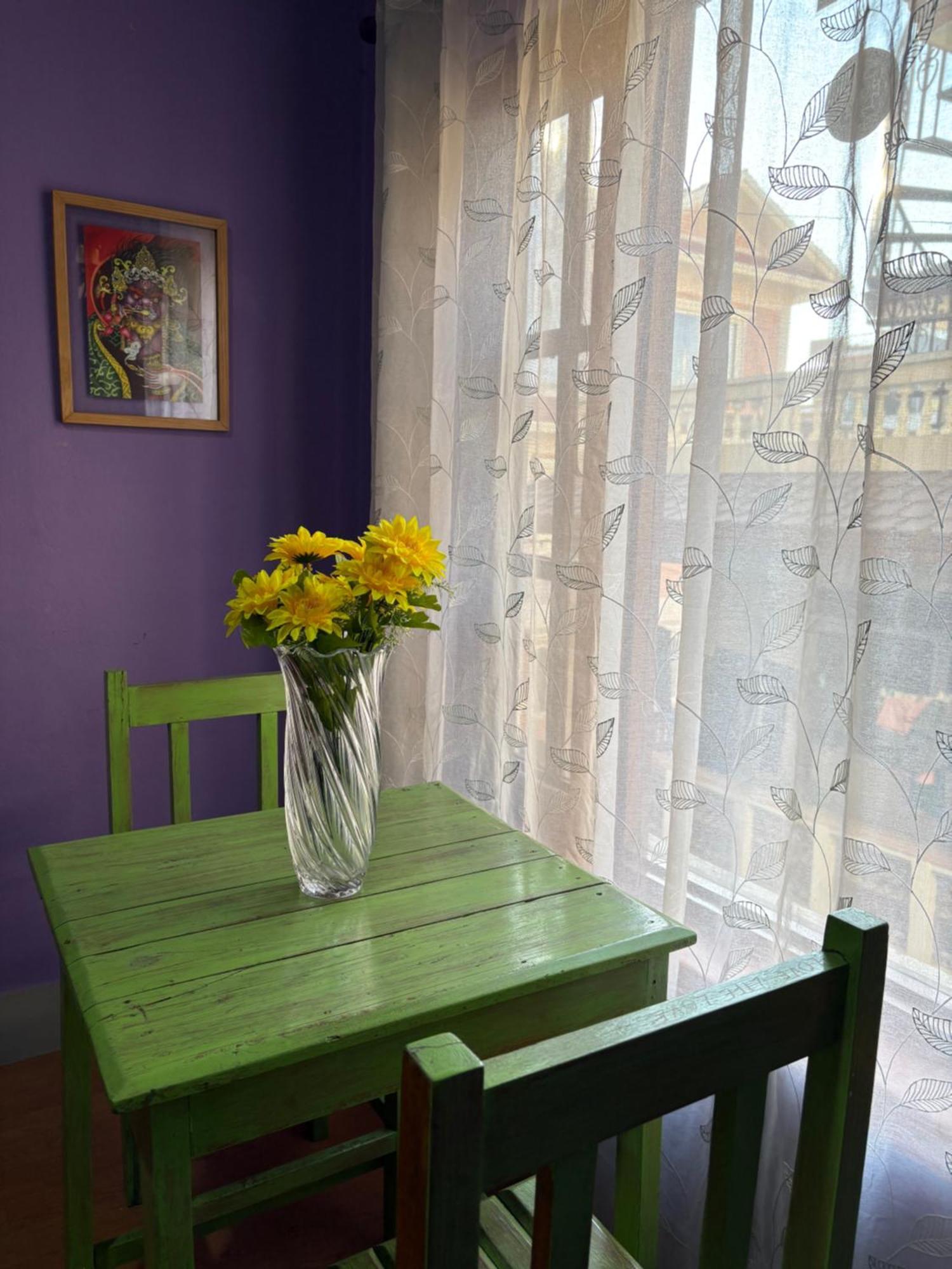 Drakon Nest Homestay *