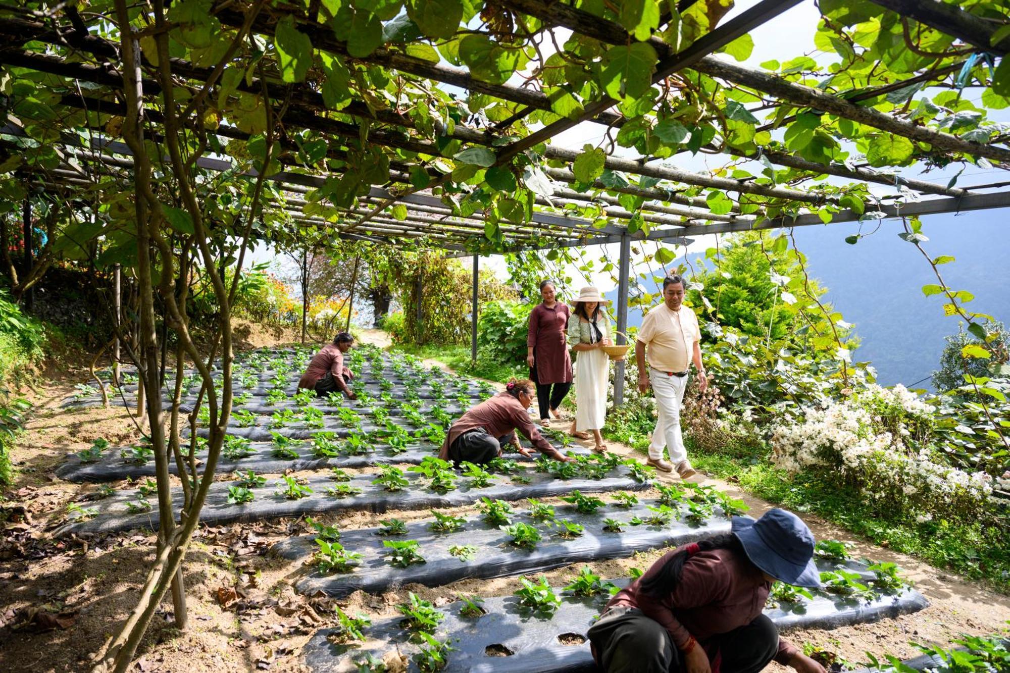 Prakriti And Organic Farm Pvt. Ltd. Farm stay