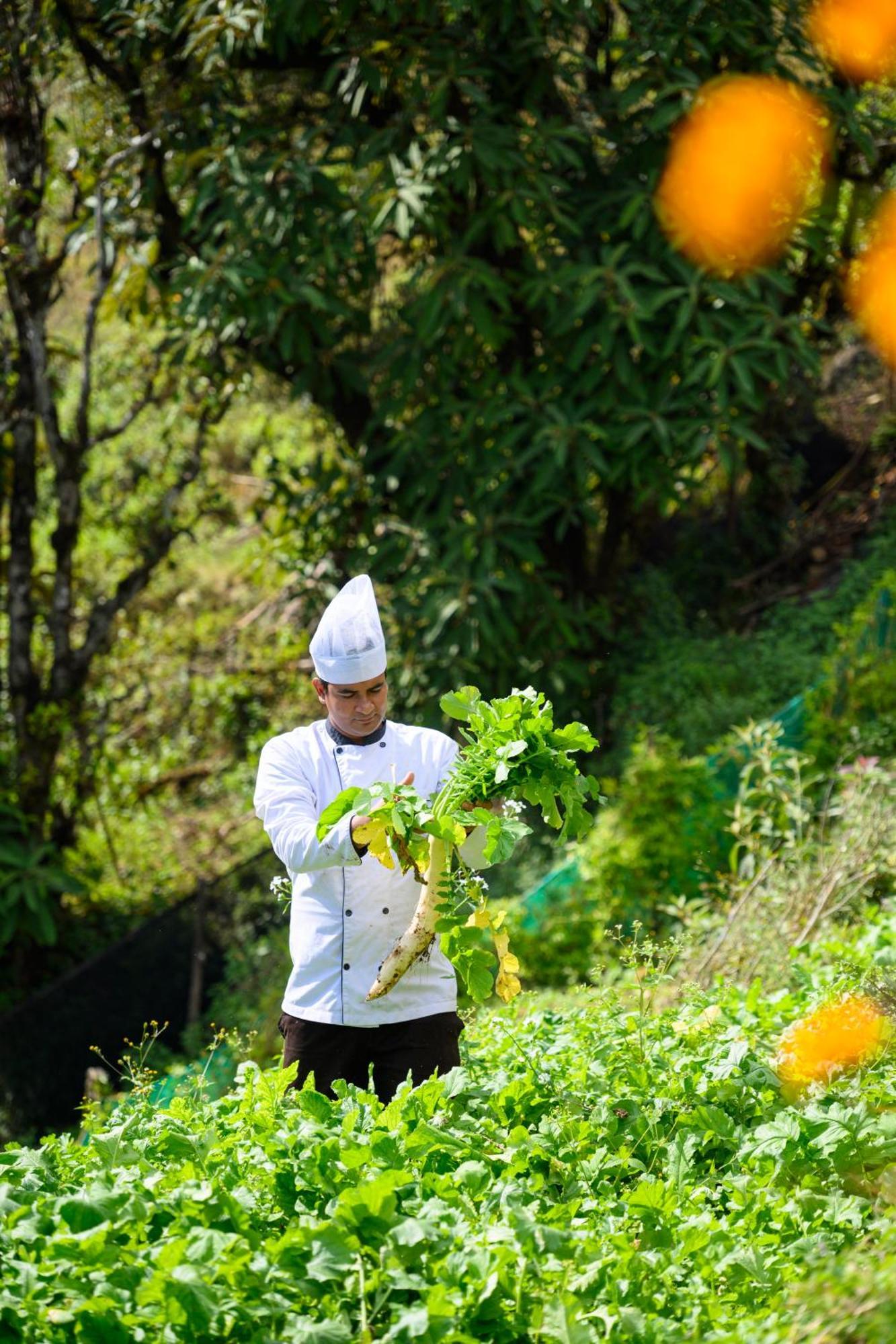 Farm stay Prakriti And Organic Farm Pvt. Ltd.