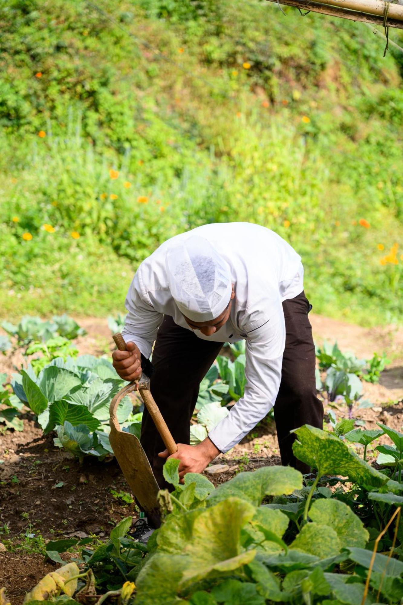 Prakriti And Organic Farm Pvt. Ltd. Farm stay *