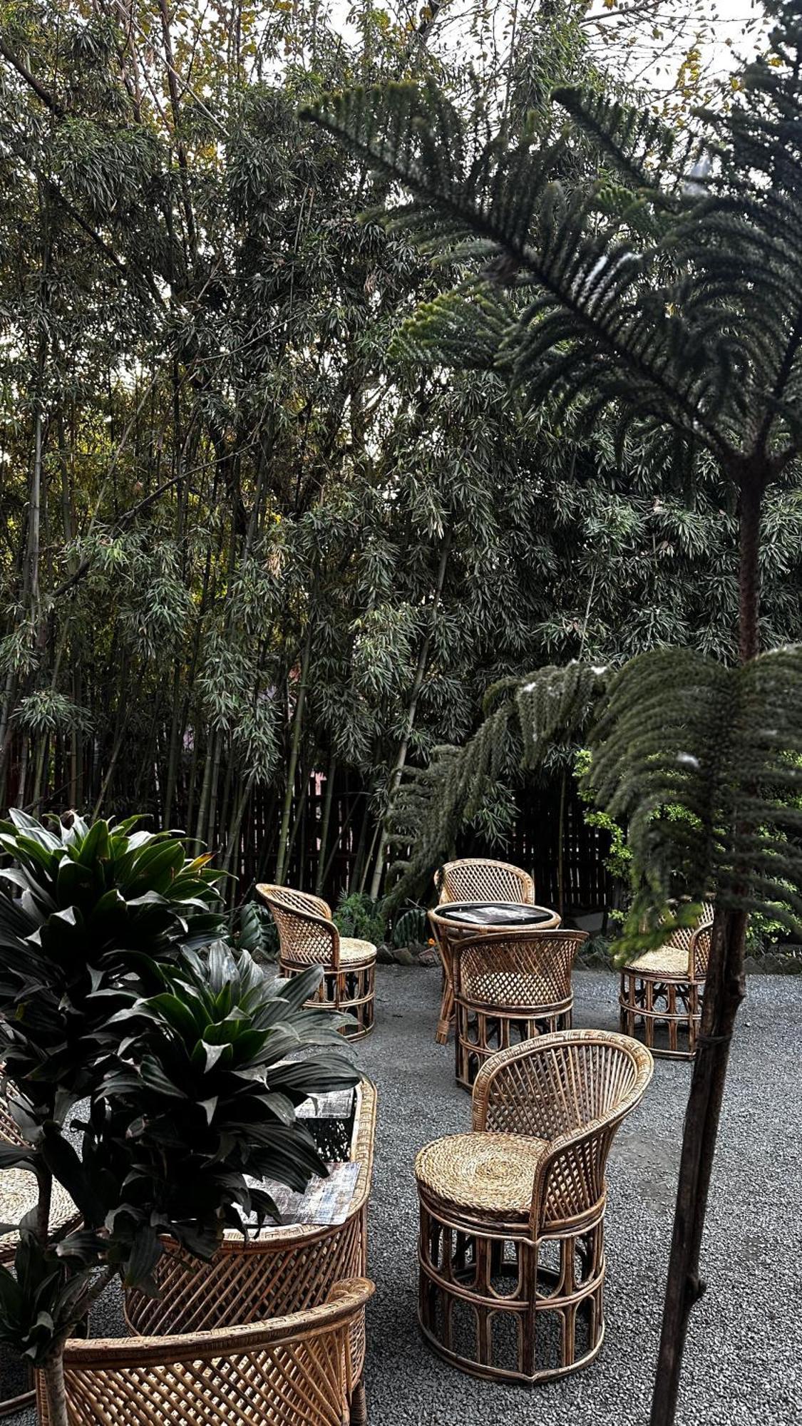 Bed & Breakfast Institute Of Natural Medicine , Yoga & Therapy