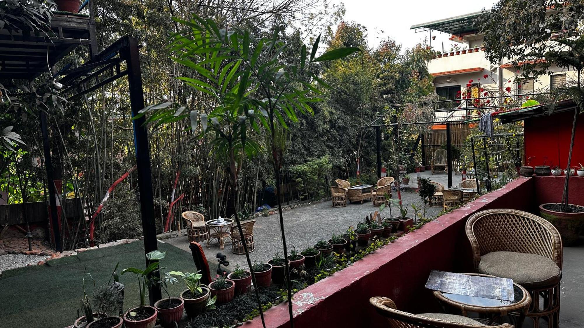 Institute Of Natural Medicine , Yoga & Therapy * Kathmandu