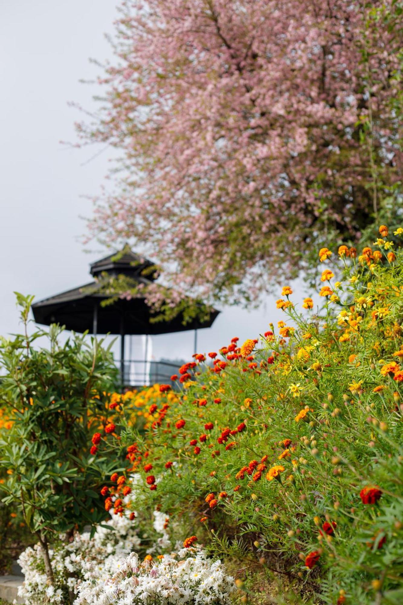 Prakriti And Organic Farm Pvt. Ltd. Farm stay *