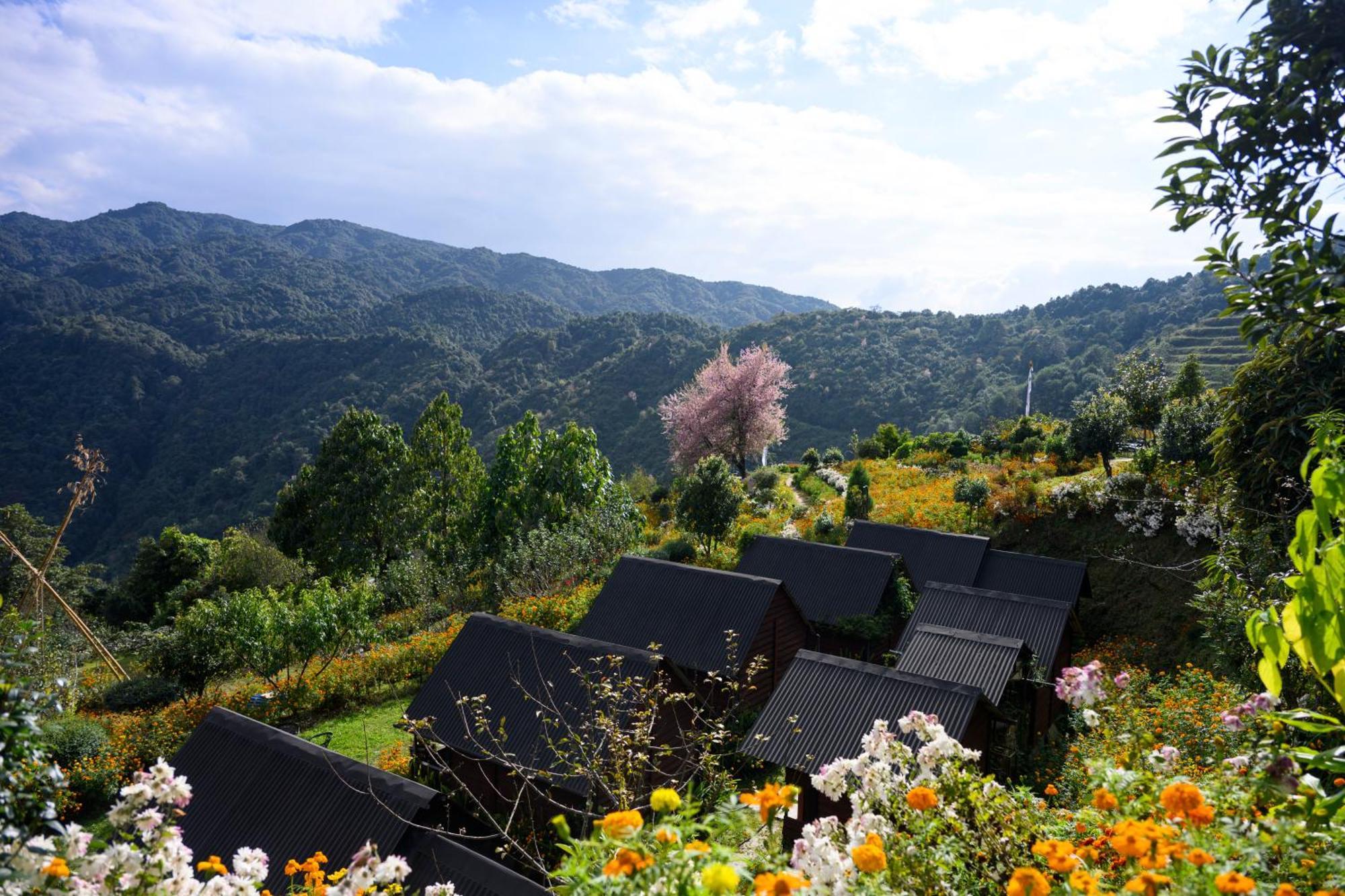 Prakriti And Organic Farm Pvt. Ltd. Farm stay Kathmandu