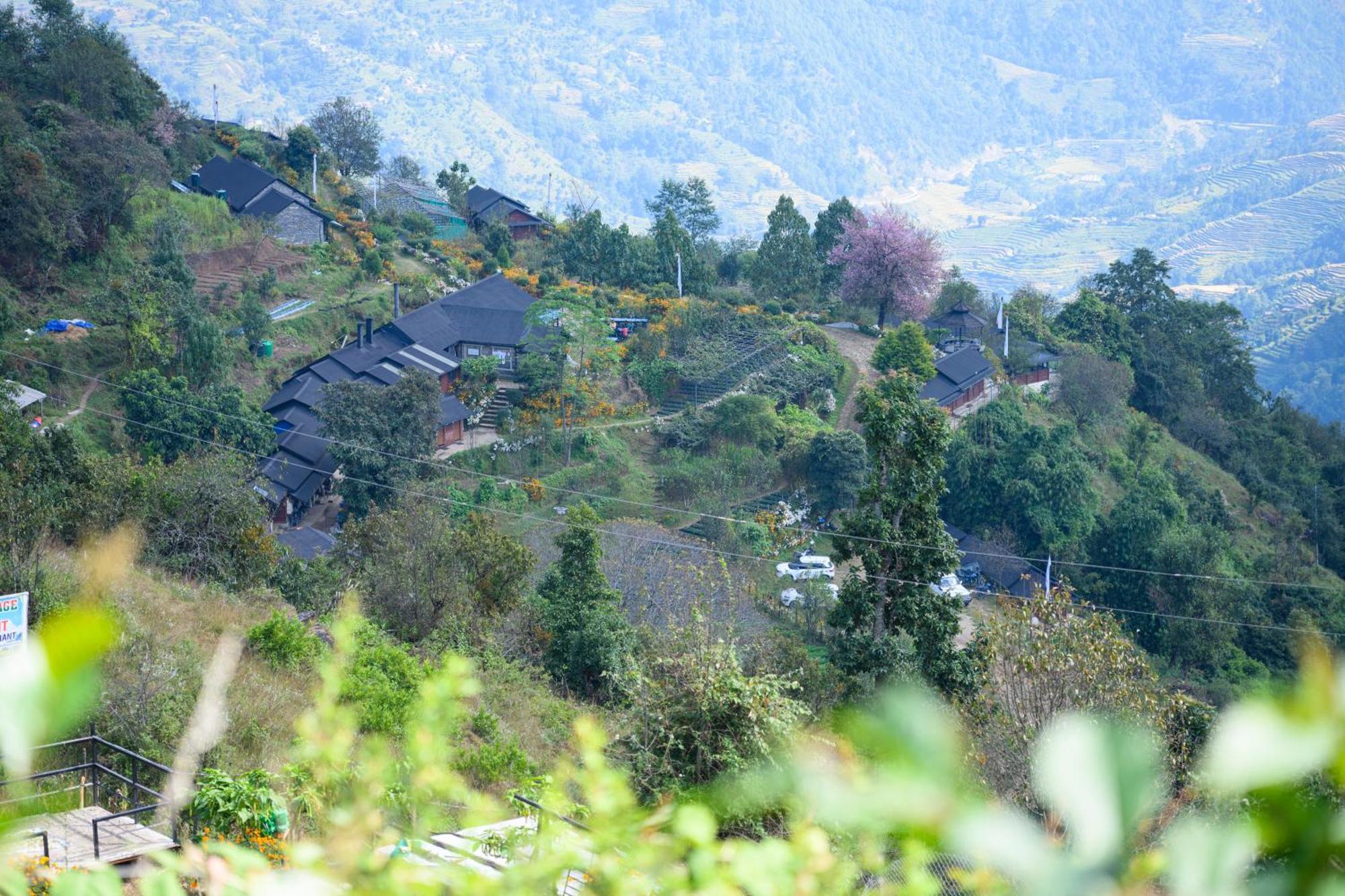 Prakriti And Organic Farm Pvt. Ltd. *