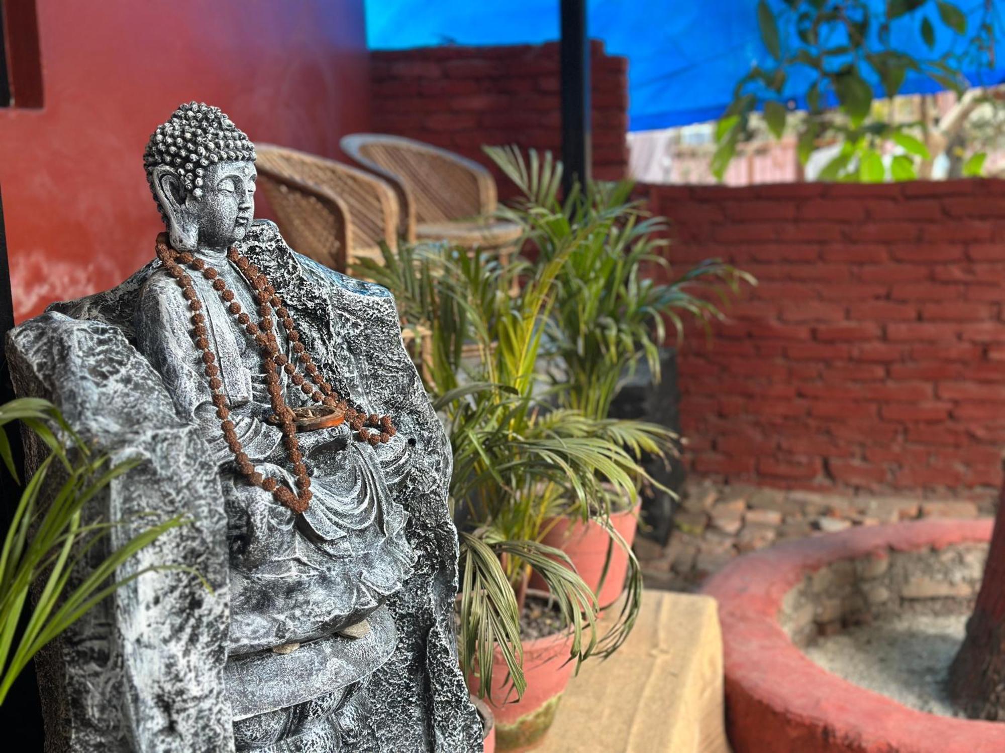 Bed & Breakfast Institute Of Natural Medicine , Yoga & Therapy