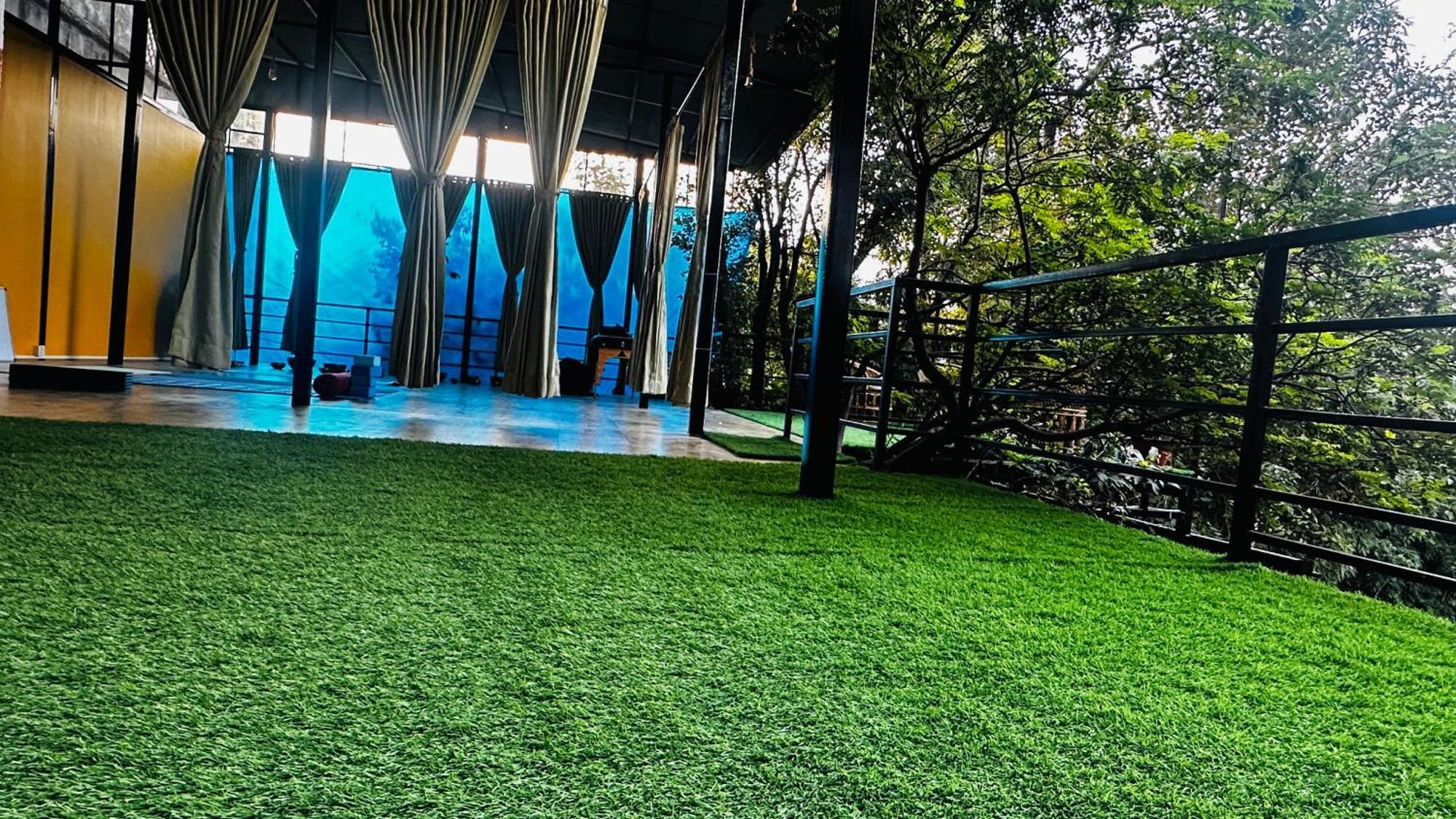Institute Of Natural Medicine , Yoga & Therapy Bed & Breakfast *