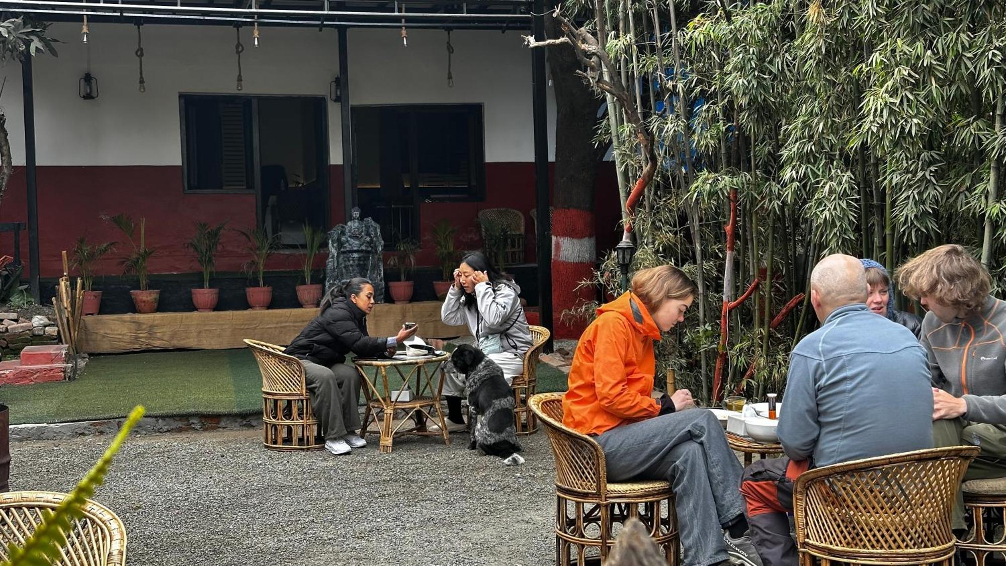 Institute Of Natural Medicine , Yoga & Therapy Bed & Breakfast *